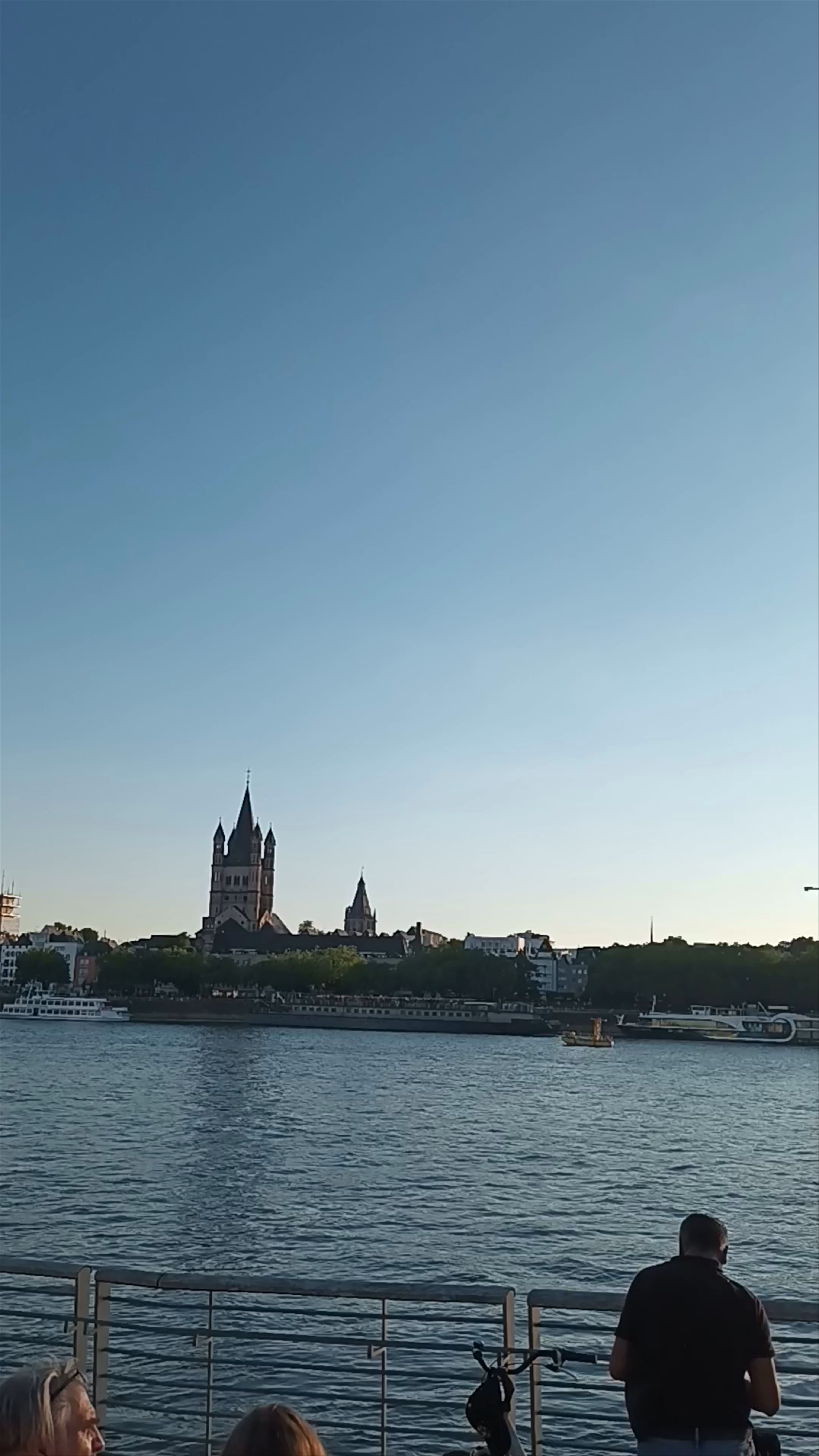 Rhine River Aussies