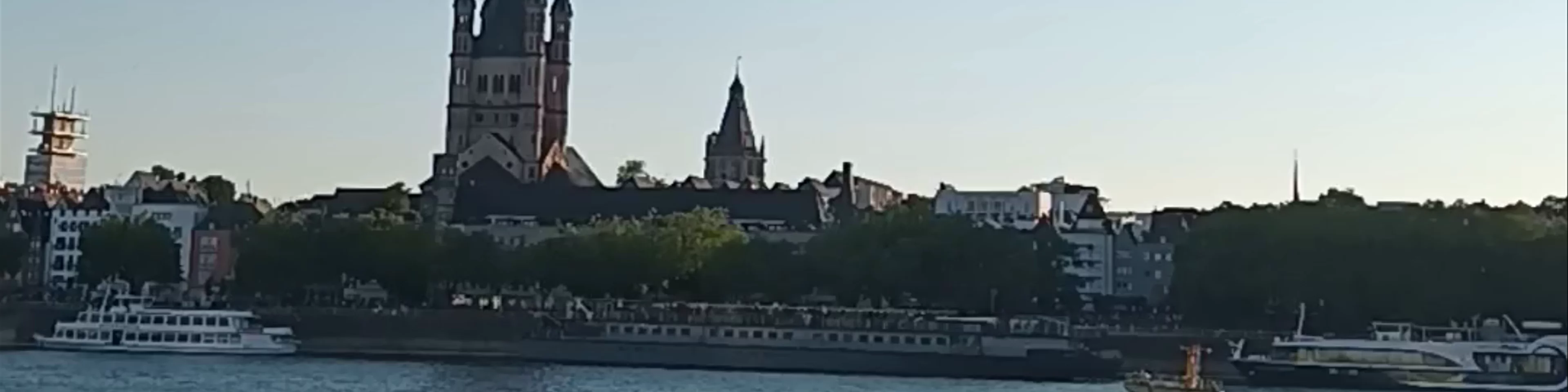 Rhine River Aussies