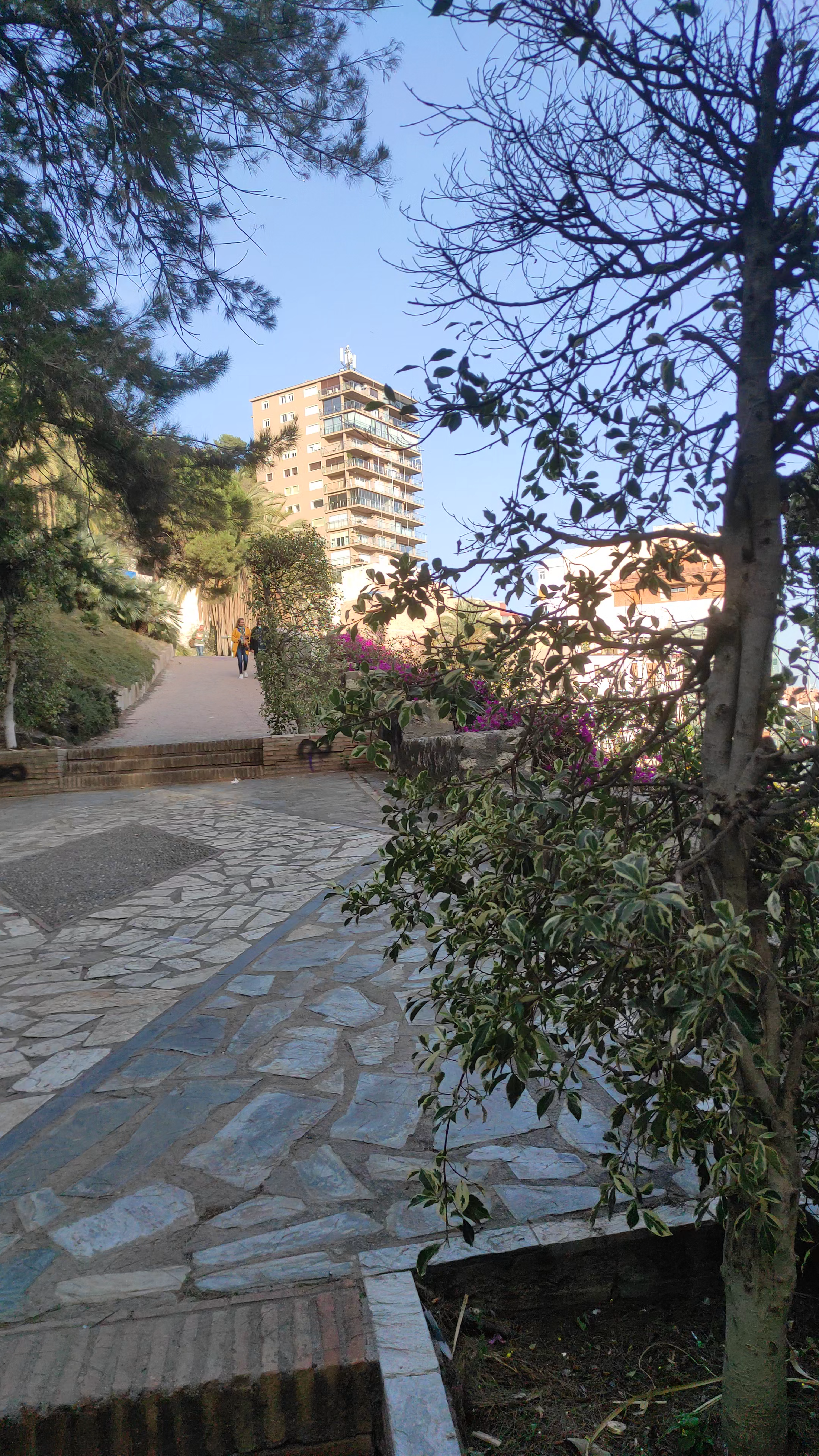 Relaxing Stroll Through Jardines de Puerta Oscura in Málaga