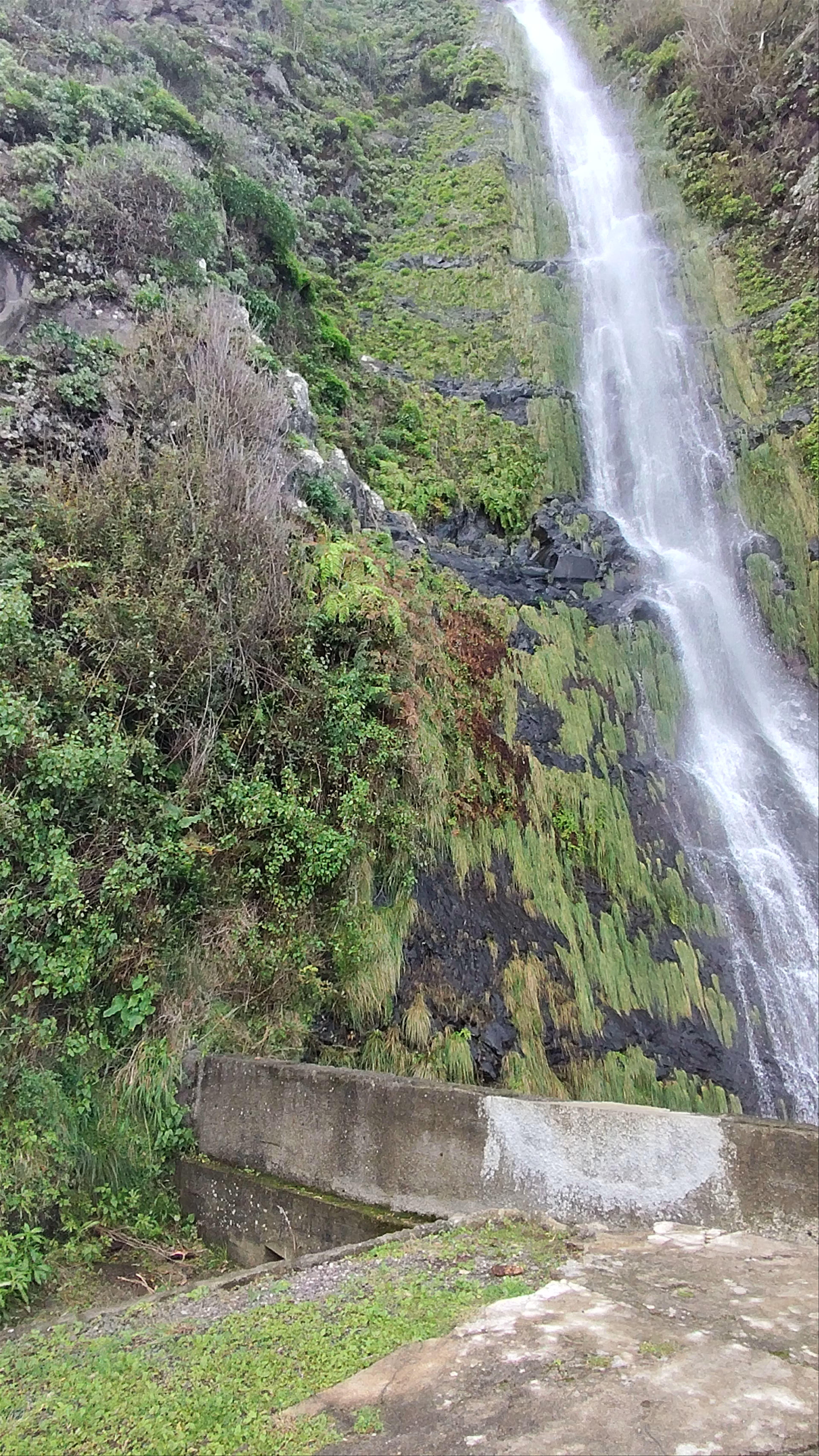 Cascata Água d'Alto Waterfall - Majestic Natural Wonder in Madeira, Portugal