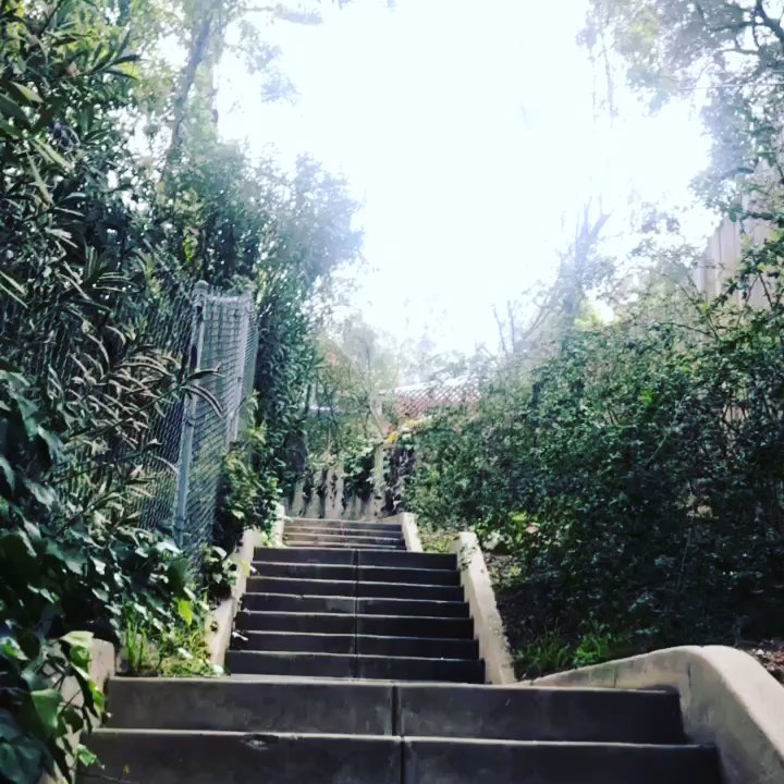 Secret Stairs - What a fun and adventurous stairway. - Hiking Near Me - Pasadena, California