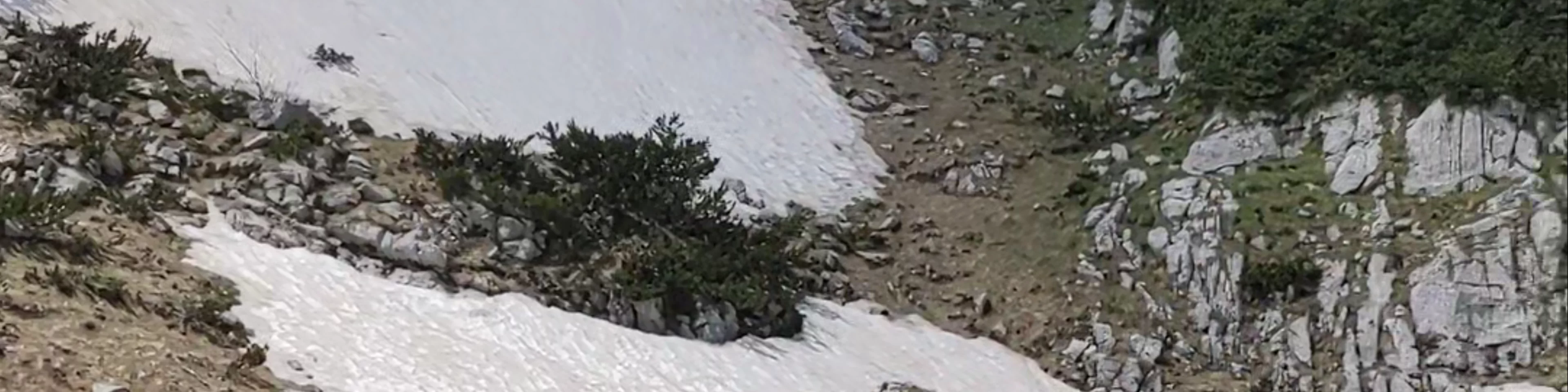 Durmitor