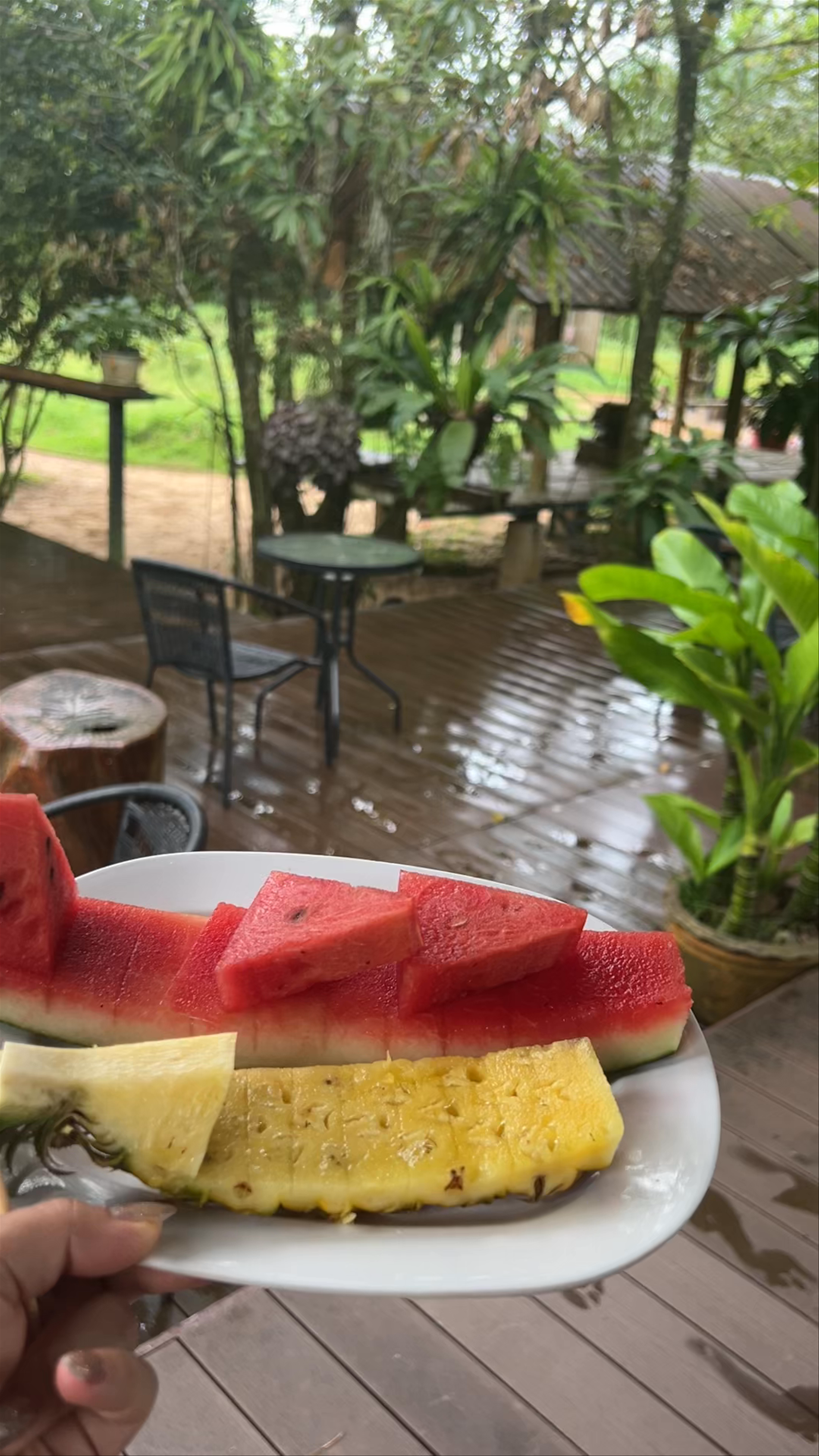 Baan Chang Café บ้านช้างคาเฟ่