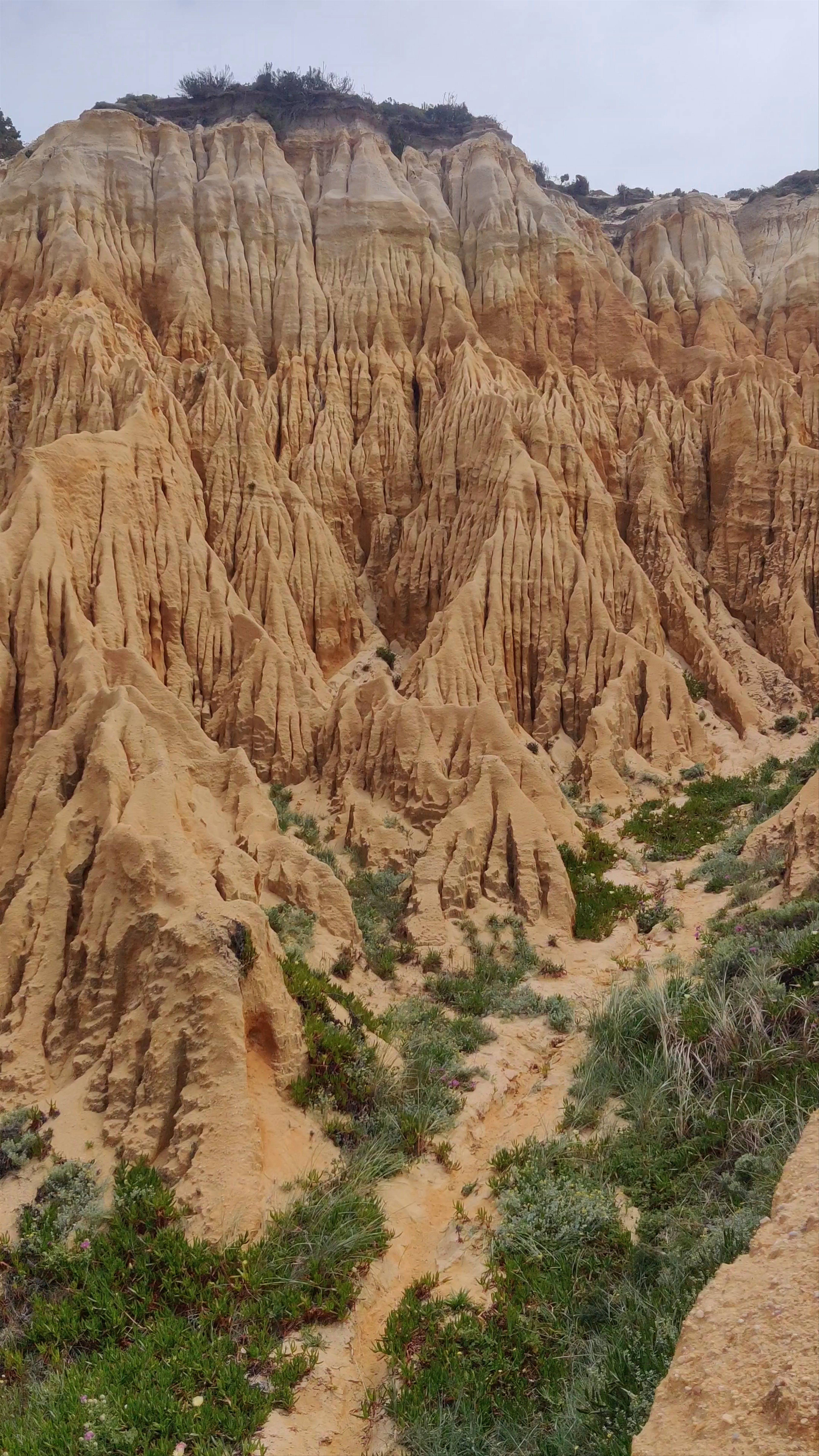 Arriba Fóssil da Galé