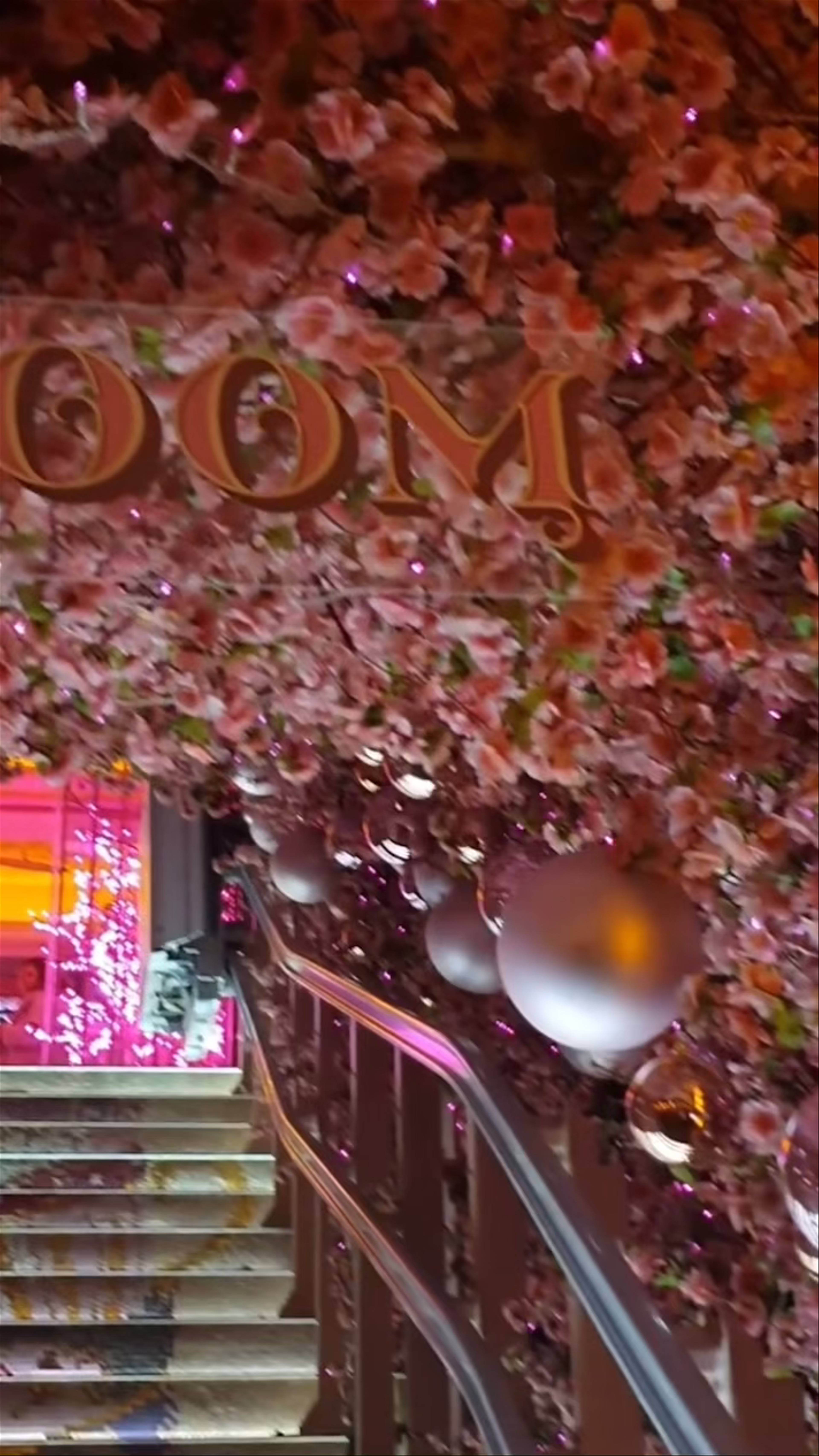 Bloom