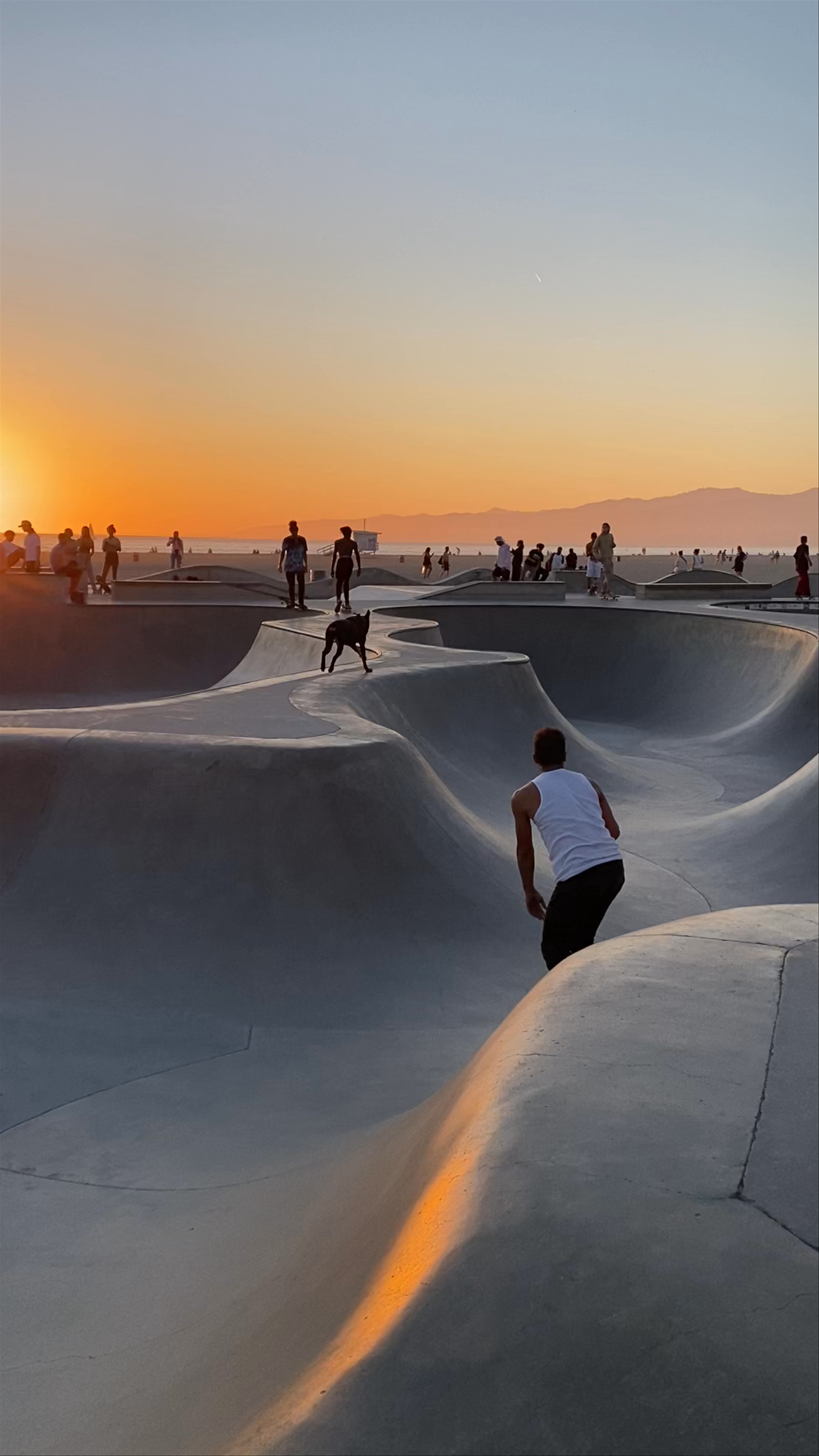 Venice Beach Skatepark