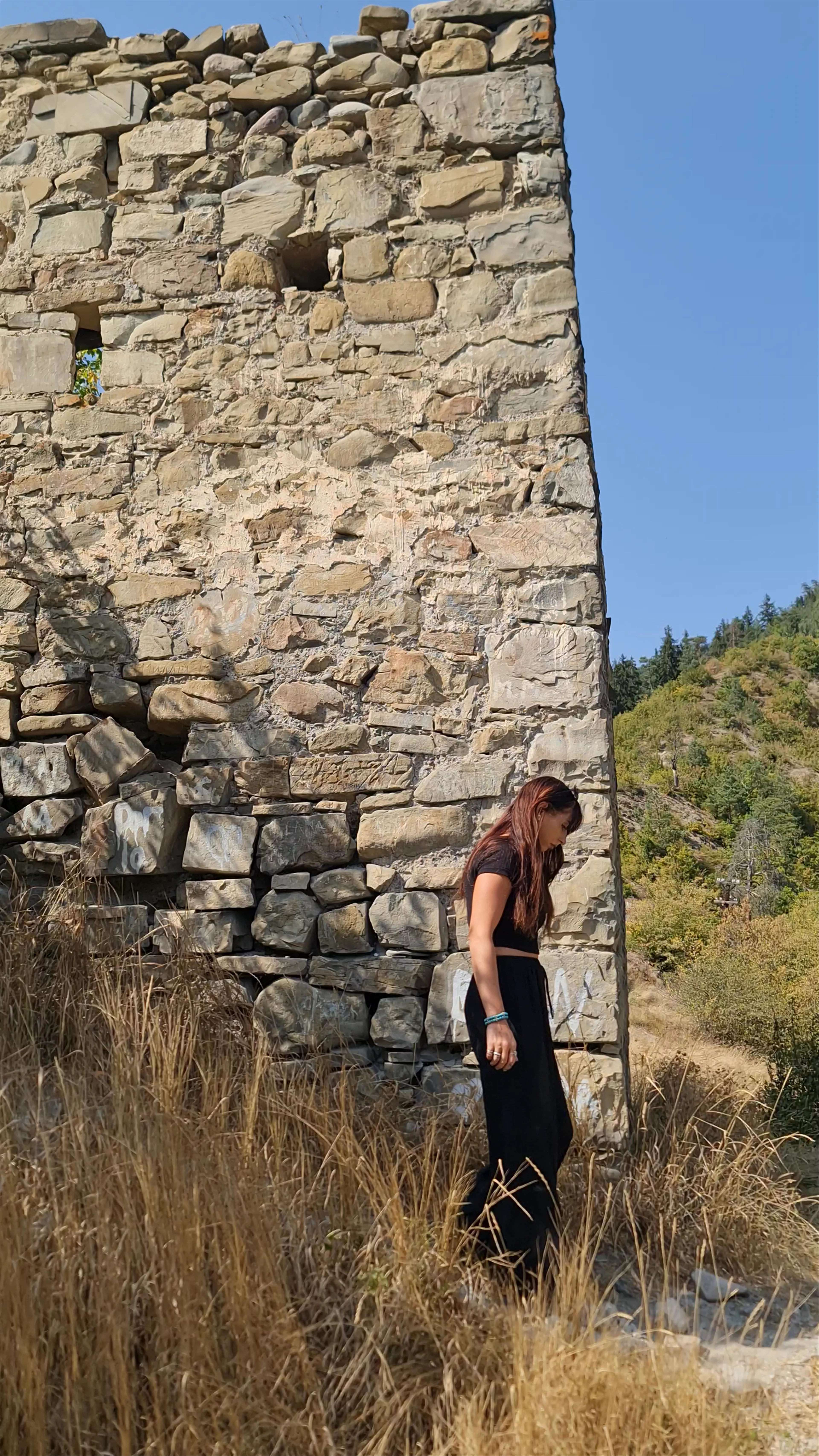 Gogia Fortress