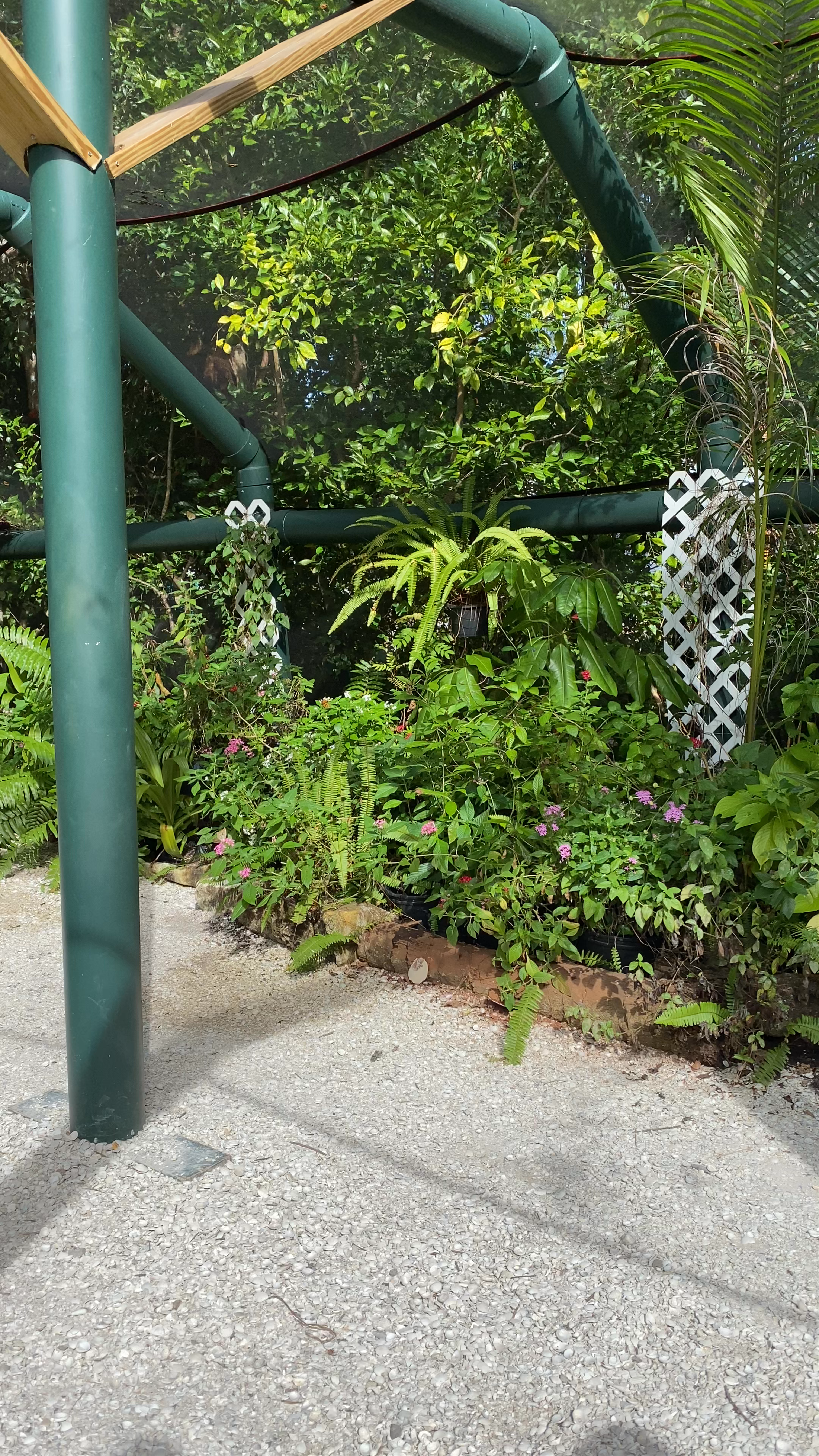 Sarasota Jungle Gardens