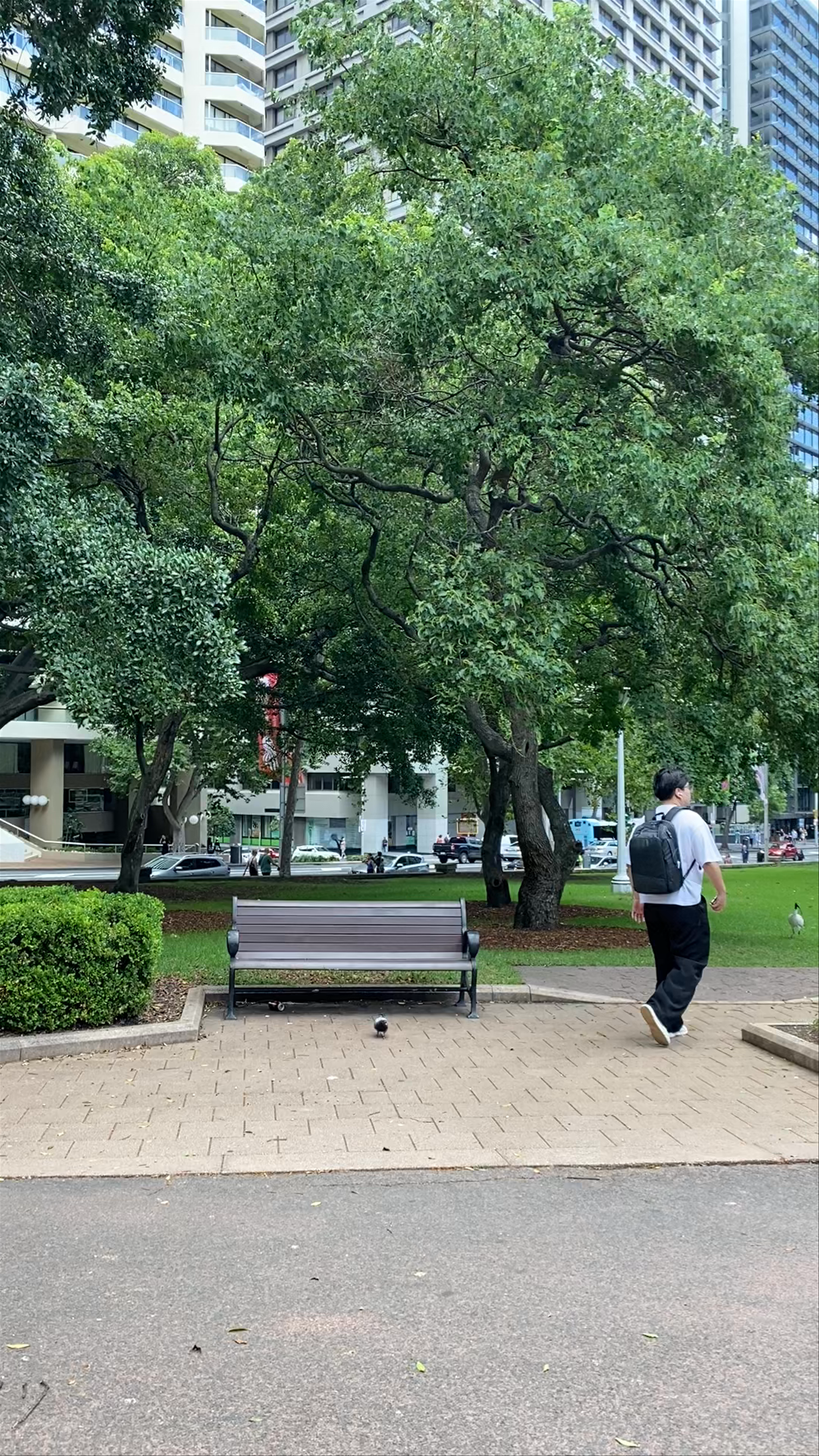 Hyde Park