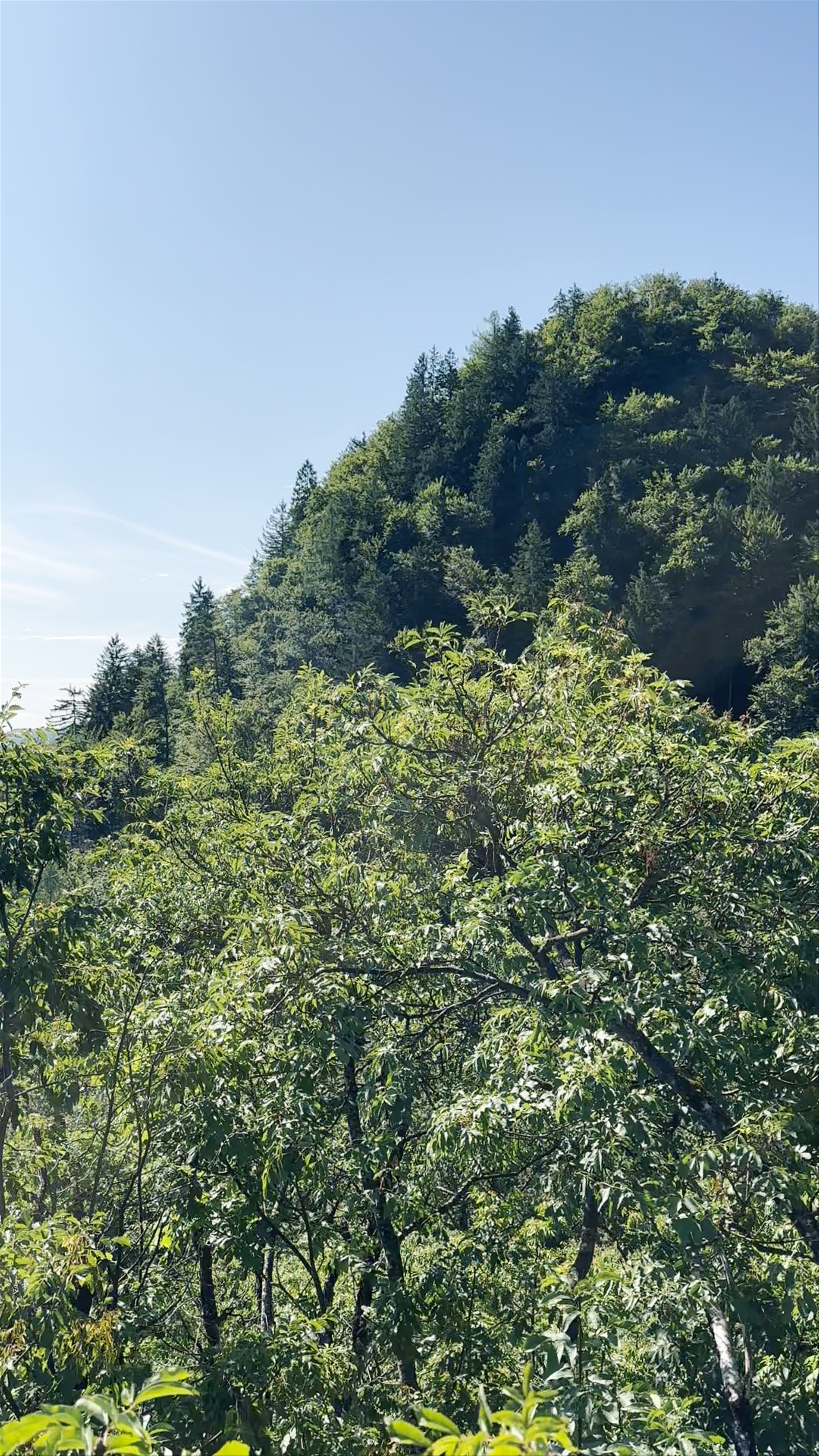 Mala Osojnica - First View Point