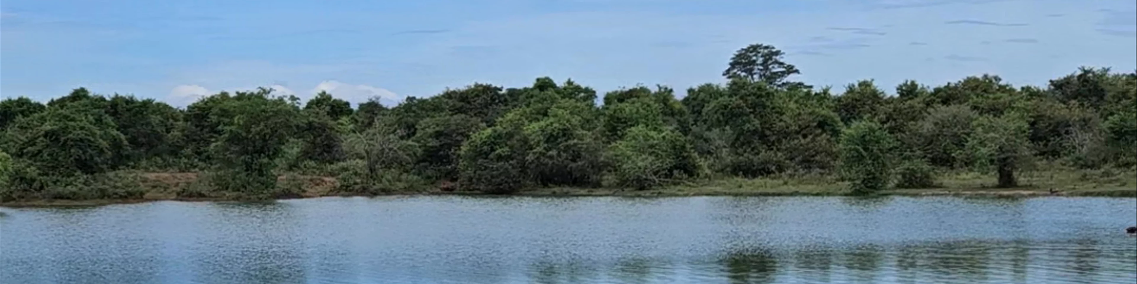 Udawalawe National Park