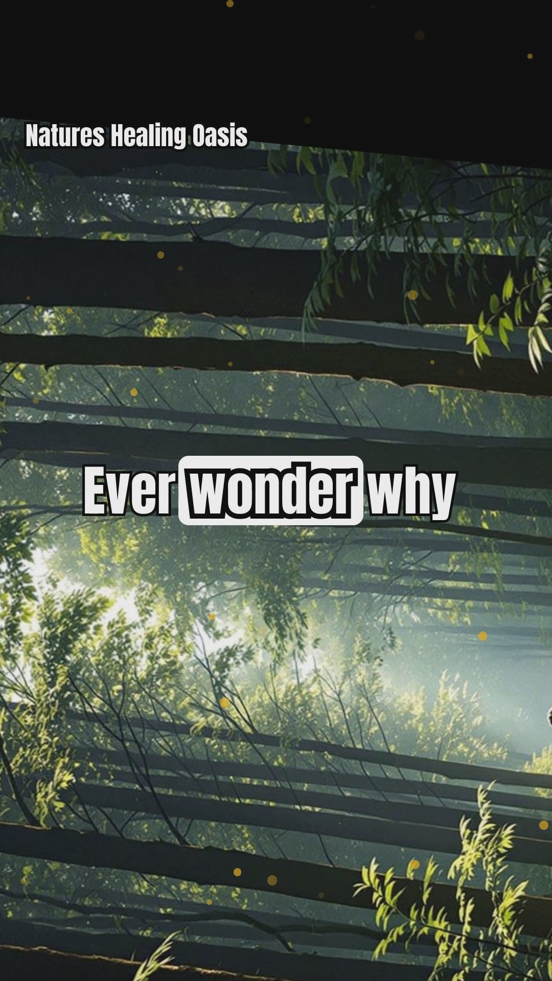 Silence in Nature: Unlocking Manifestation Through Outdoor Quiet