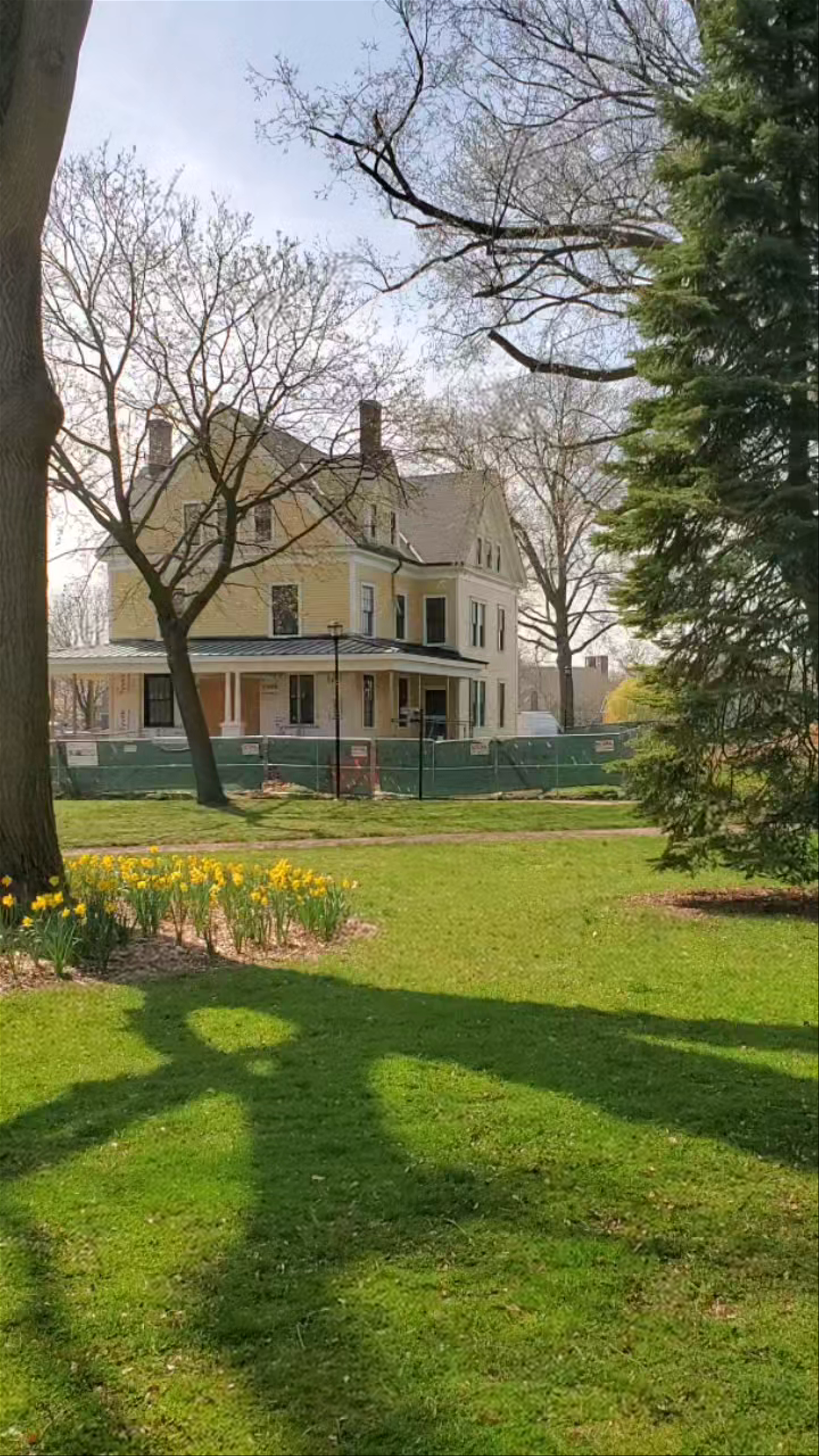 Springtime Serenity at Governors Island, New York City