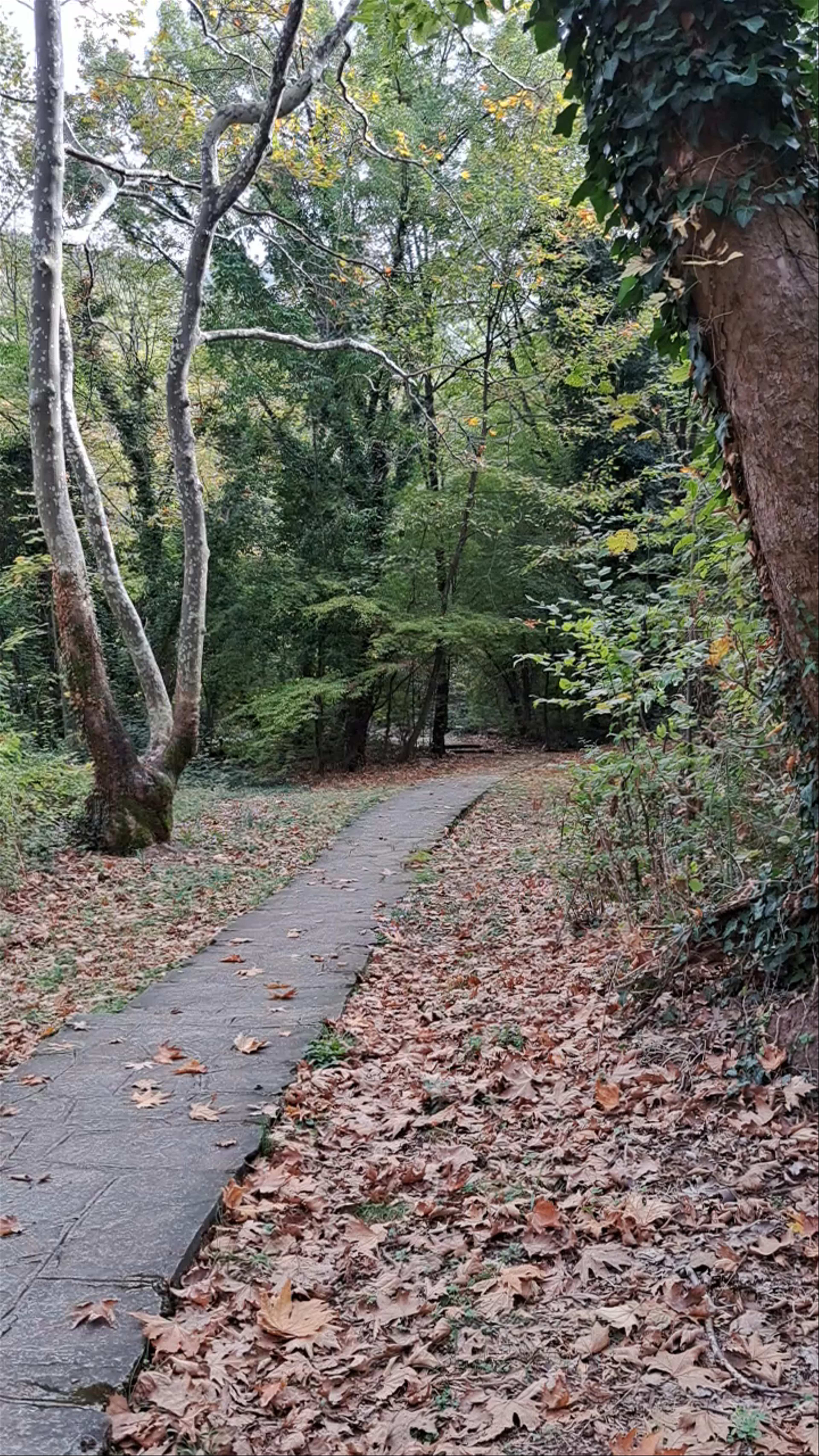 Δημοτικό Πάρκο Νάουσας