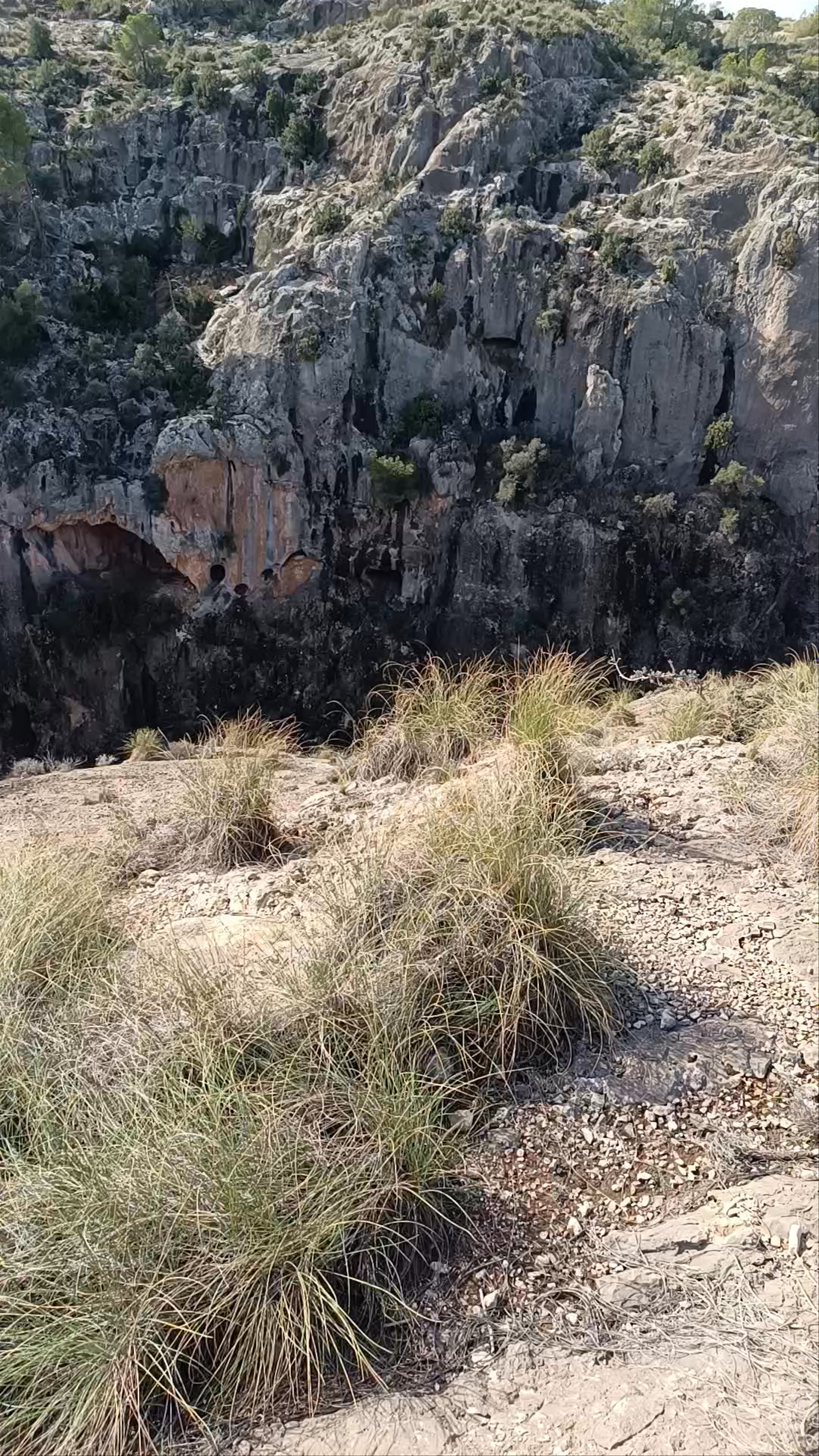 Cañón de Almadenes