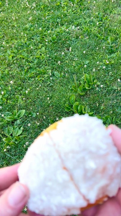 Beach Donut Shop - Lemon delight donut, a lemon cream filled shell topped with vanilla frosting and coconut! Yum! - Donuts Near Me - Clinton, Connecticut