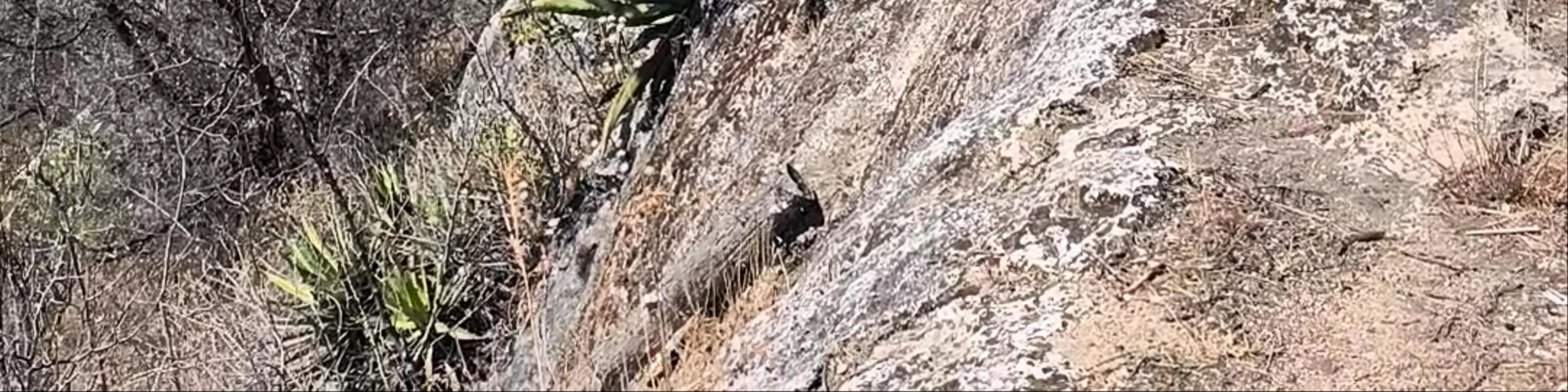Mirador hierve el Agua