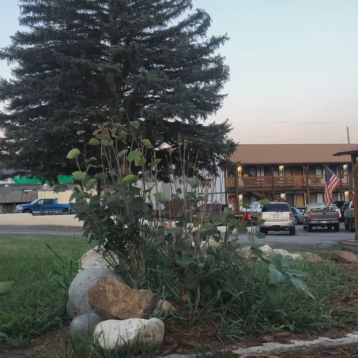 Loyal Duke Lodge - Love this place. - Hotels Near Me - Salida, Colorado