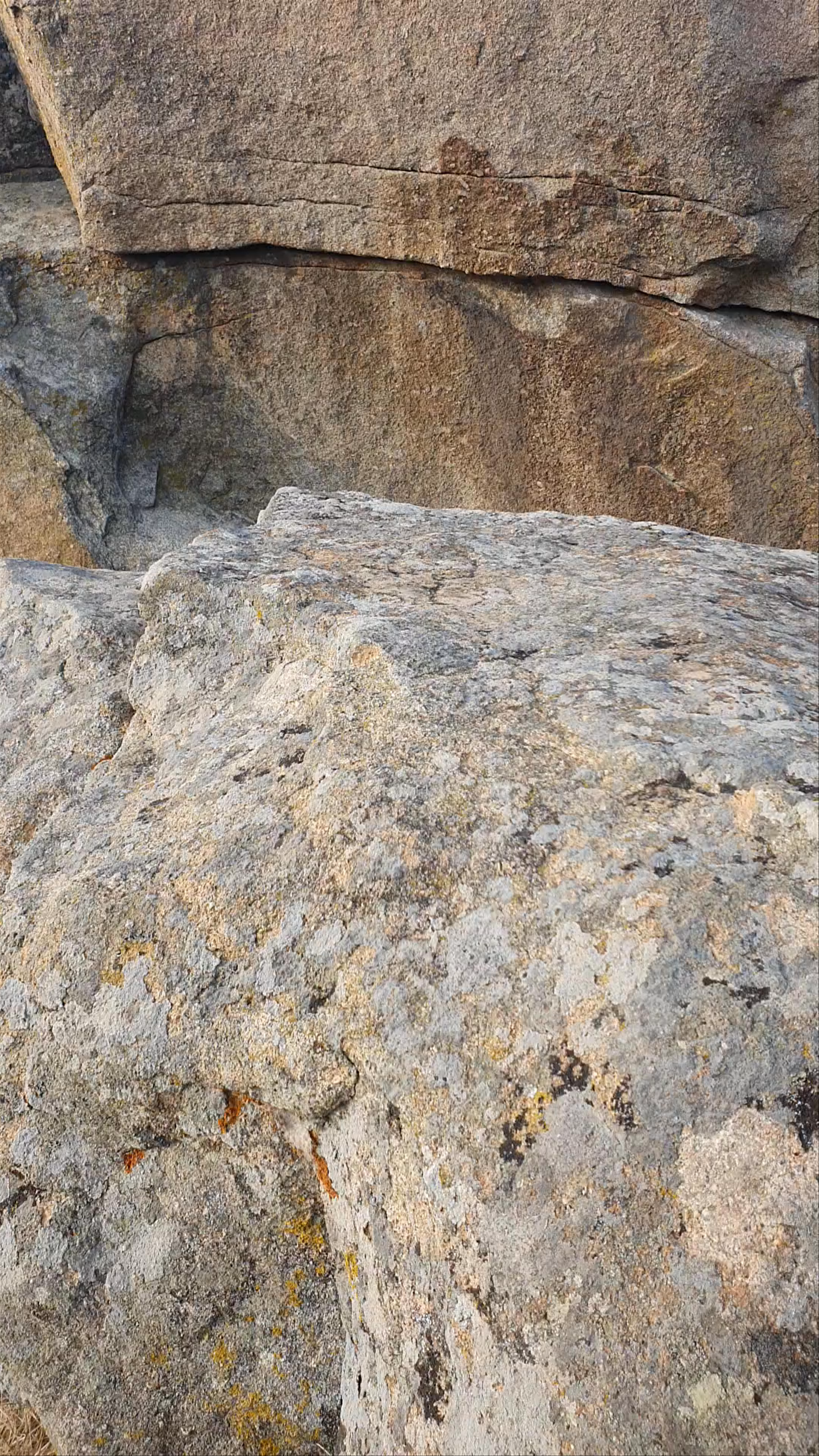 βῶλαξ (volax) espresso bar