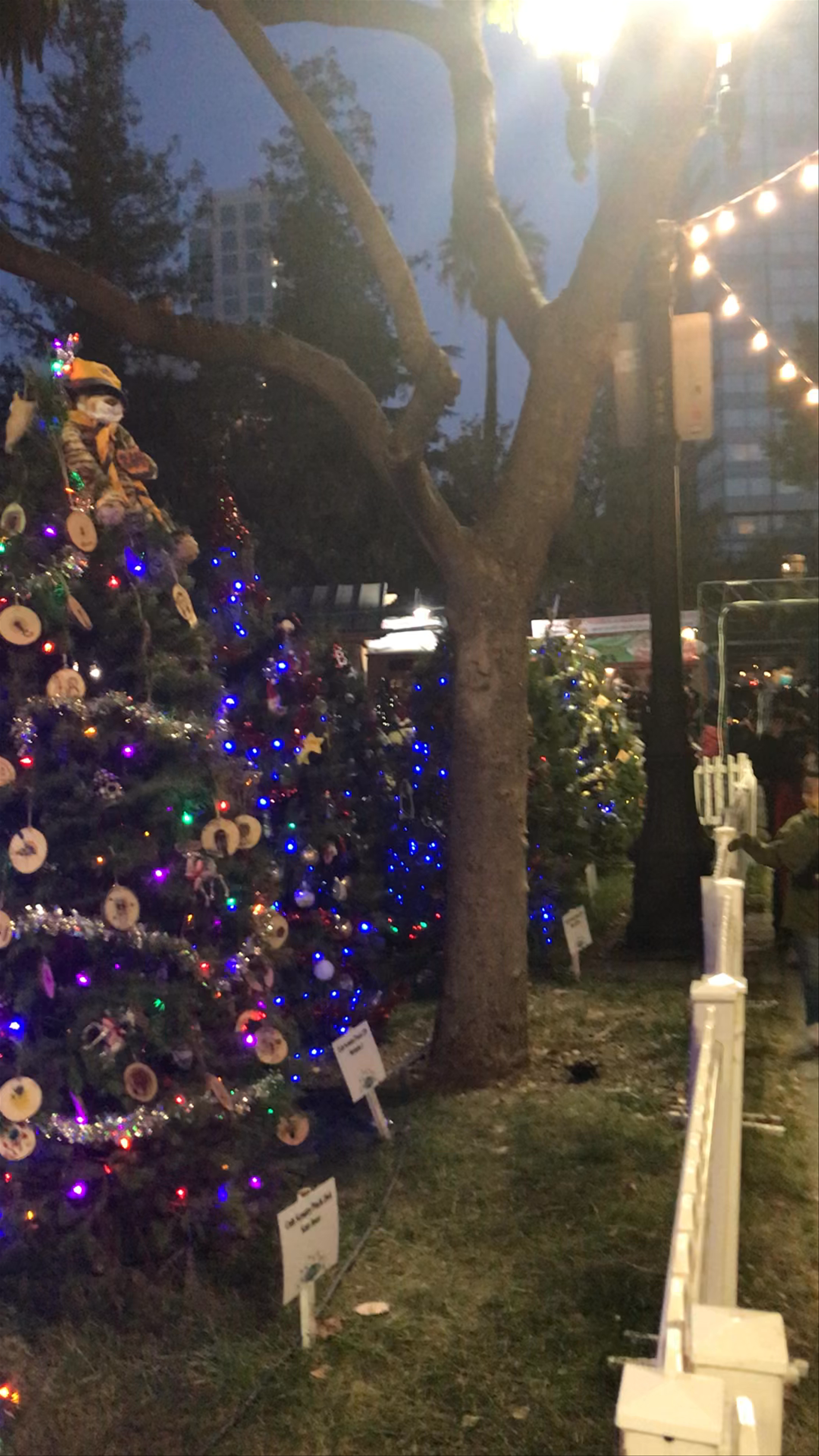 Christmas In The Park, San Jose: Magical Holiday Lights and Festivities