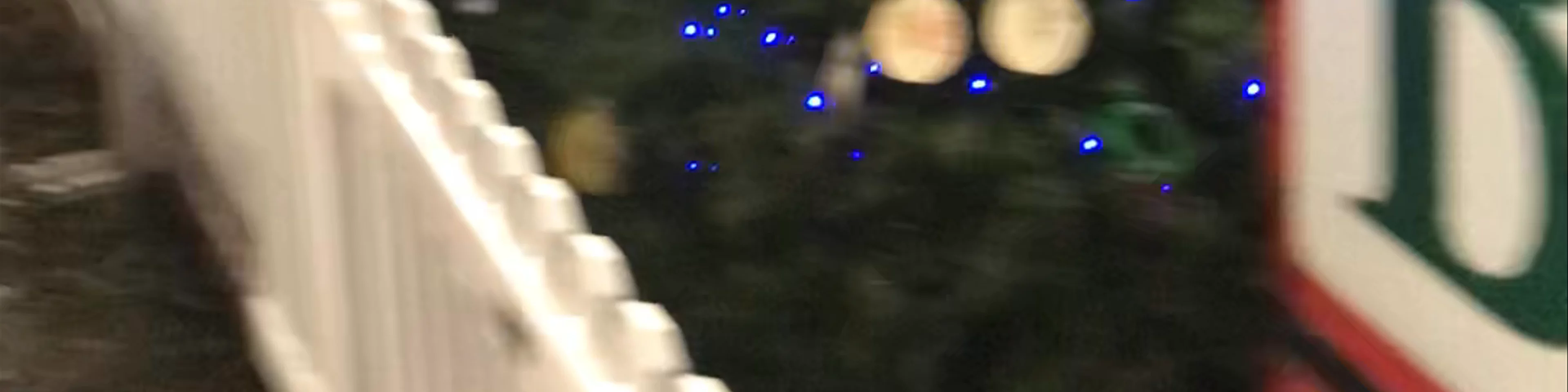 Christmas In The Park, San Jose