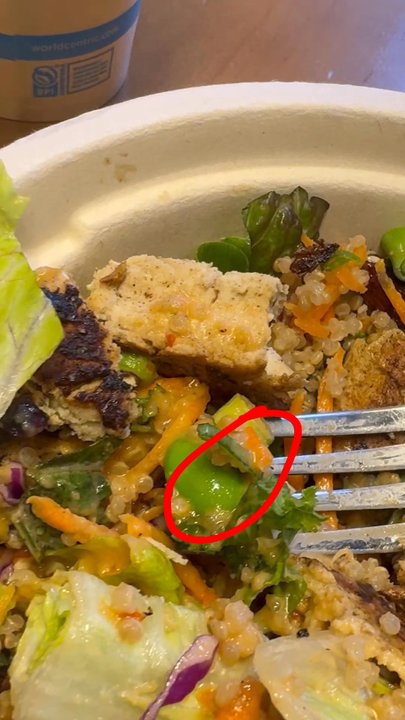 Veggie Grill by Next Level - Live worm - Vegan Near Me - San Jose, California