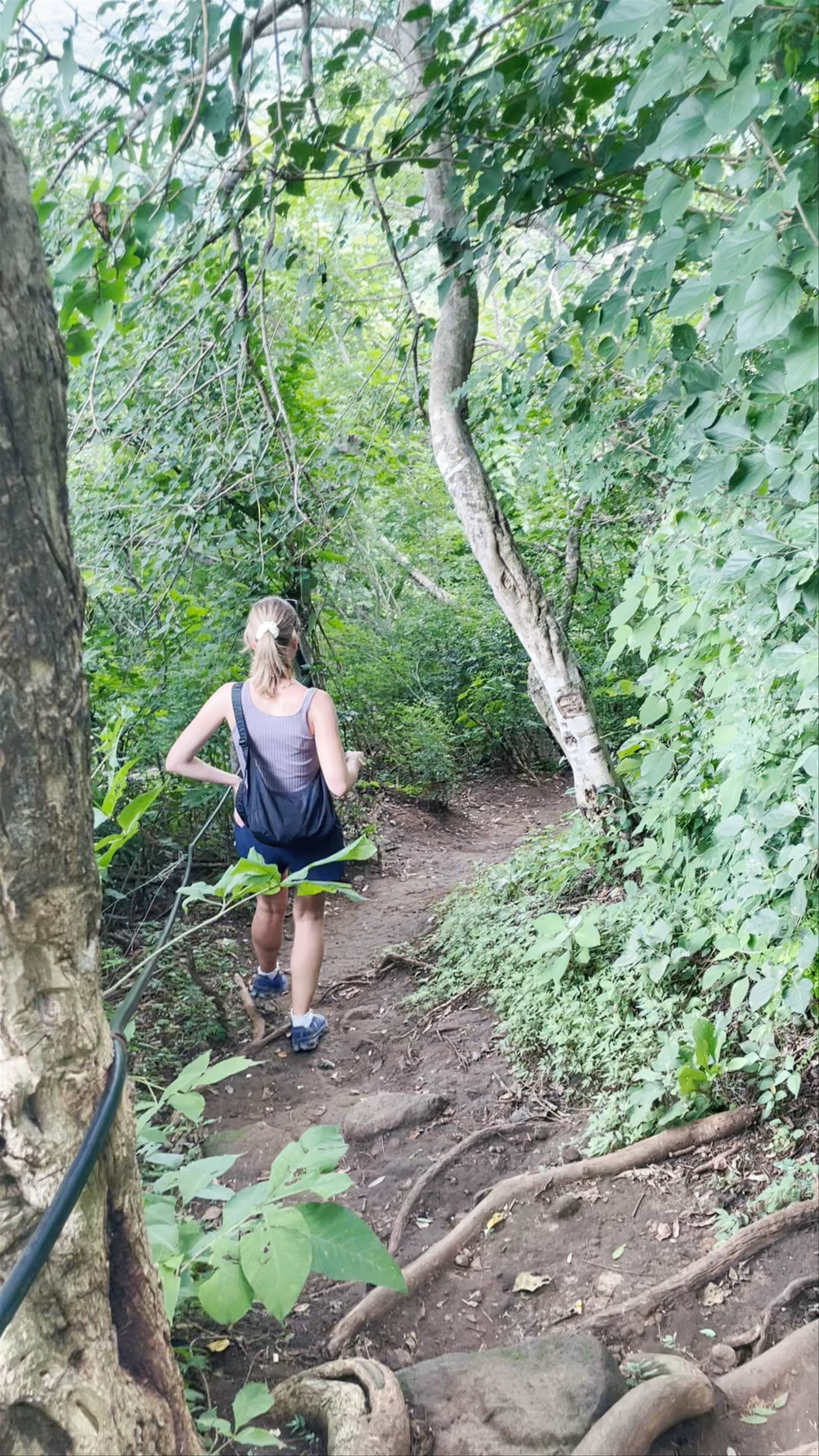 Trips & Tours Cascadas Tamanique