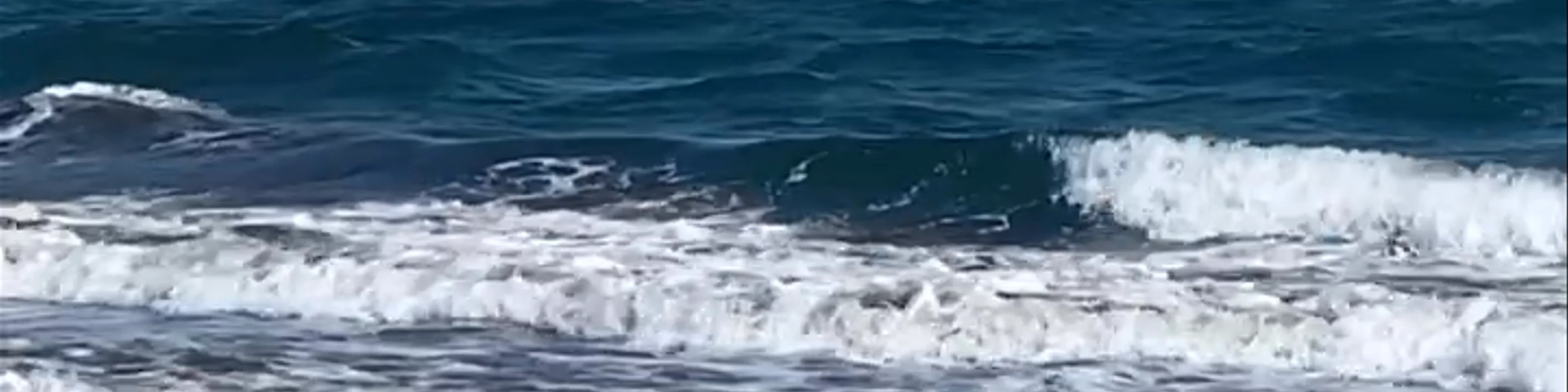 Playa Ritoque