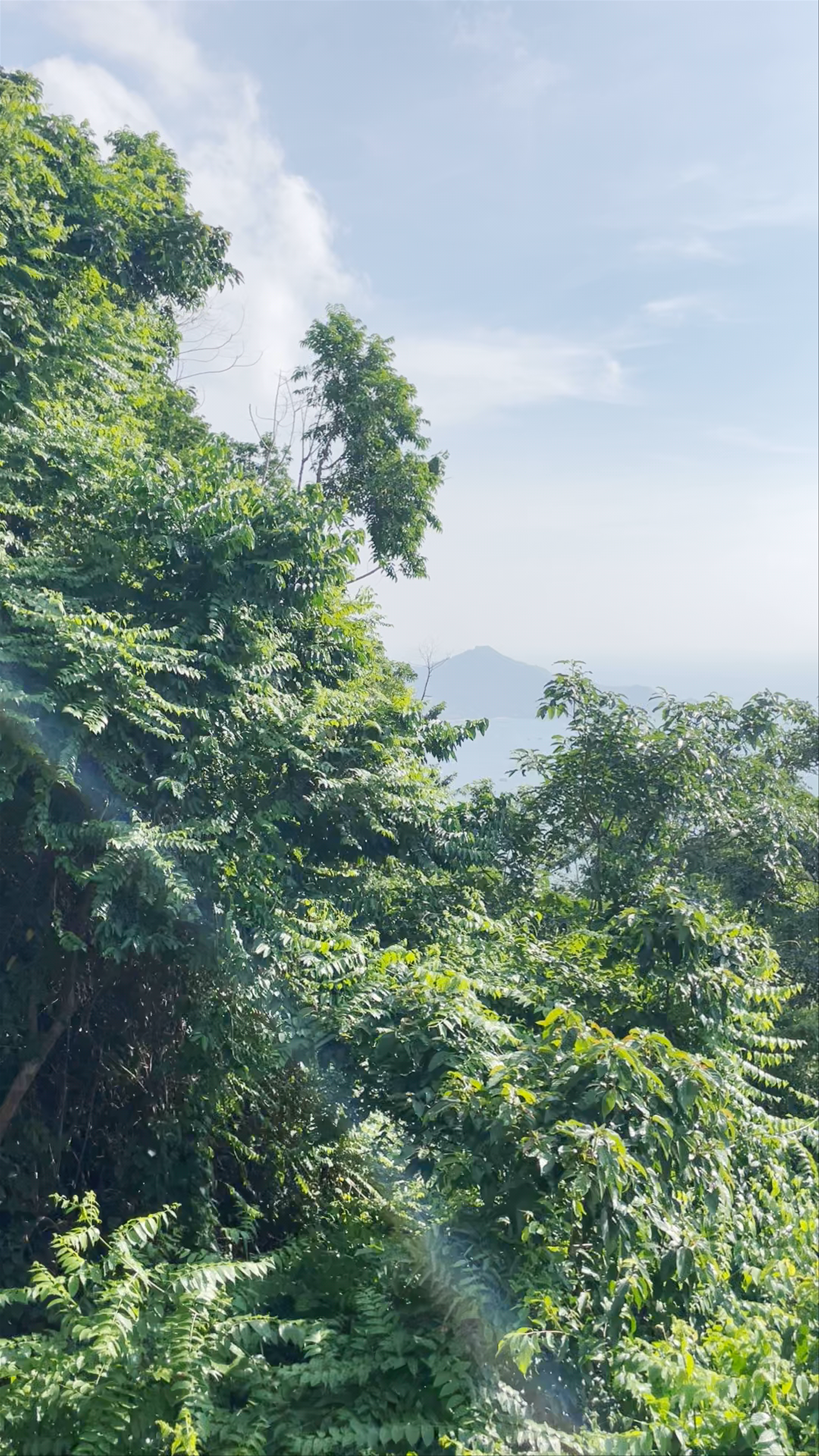 Top Point Koh Tao: Serene Jungle Vistas and Ocean Horizon