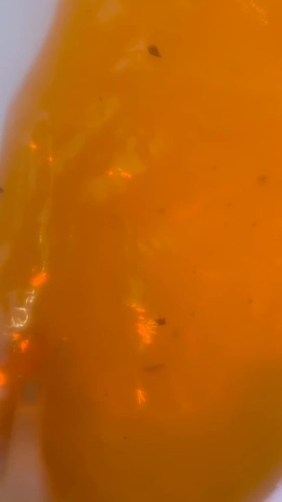 Lush - I love my other bathroom. My Mr. got me as orange peels roses closes and lavender it makes my skin so soft. - Skin Care Near Me - Clinton Township, Michigan
