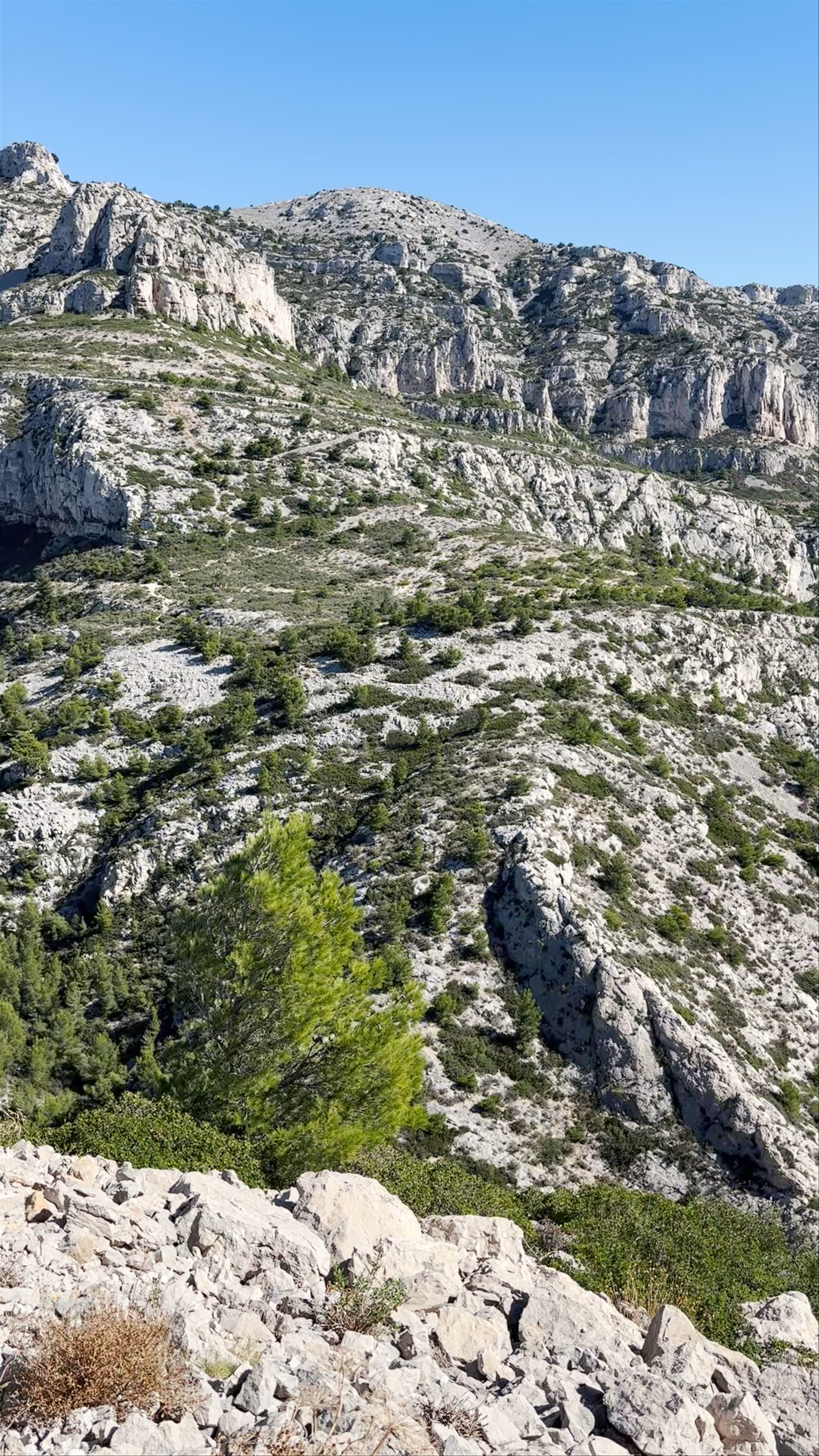 Calanques de Sormiou: Majestic Coastal Cliffs near Marseille