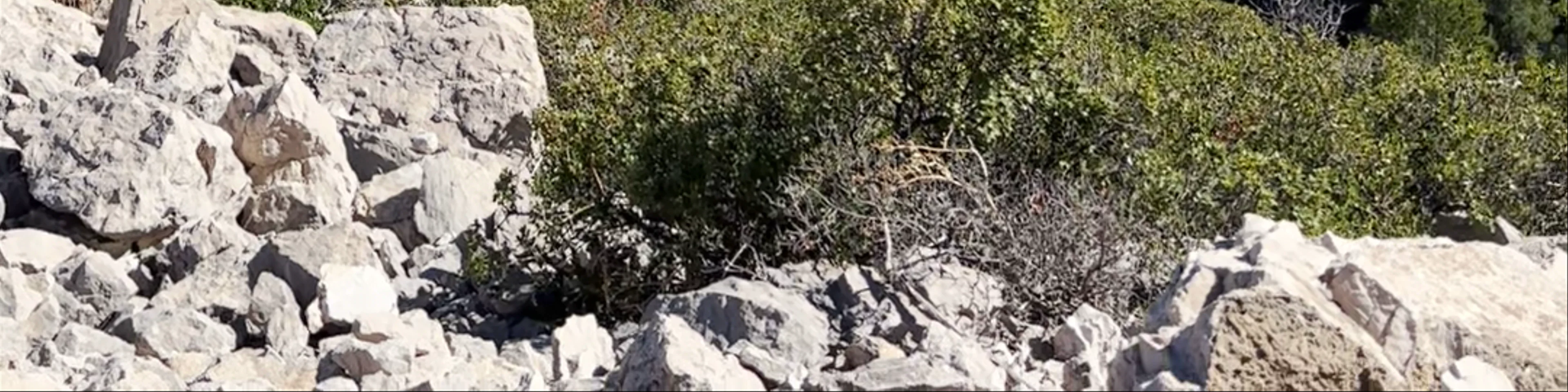 Calanques de Sormiou