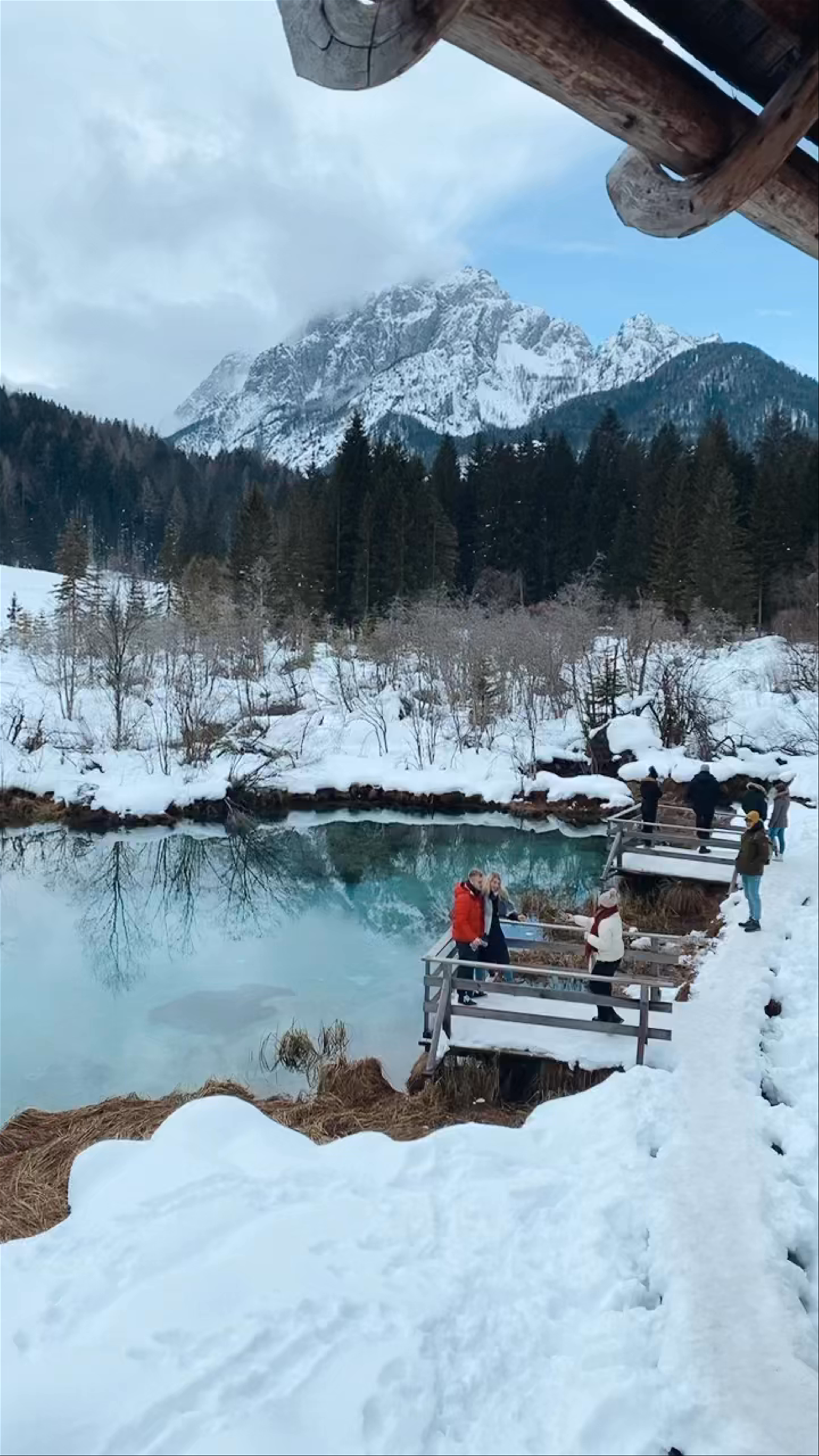 Zelenci Natural Reserve: Winter Wonderland in Kranjska Gora, Slovenia