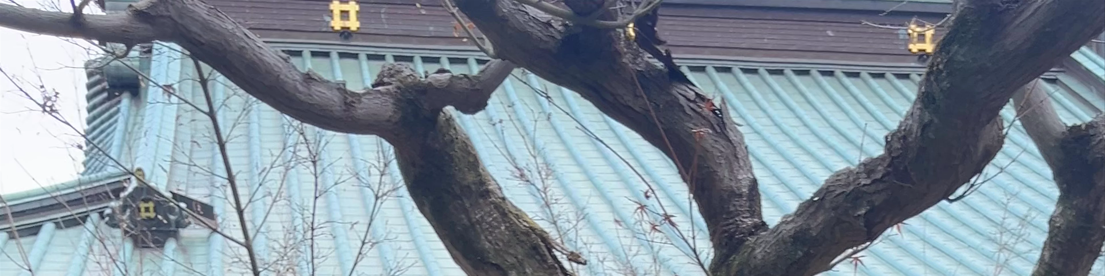 Gōtokuji Temple