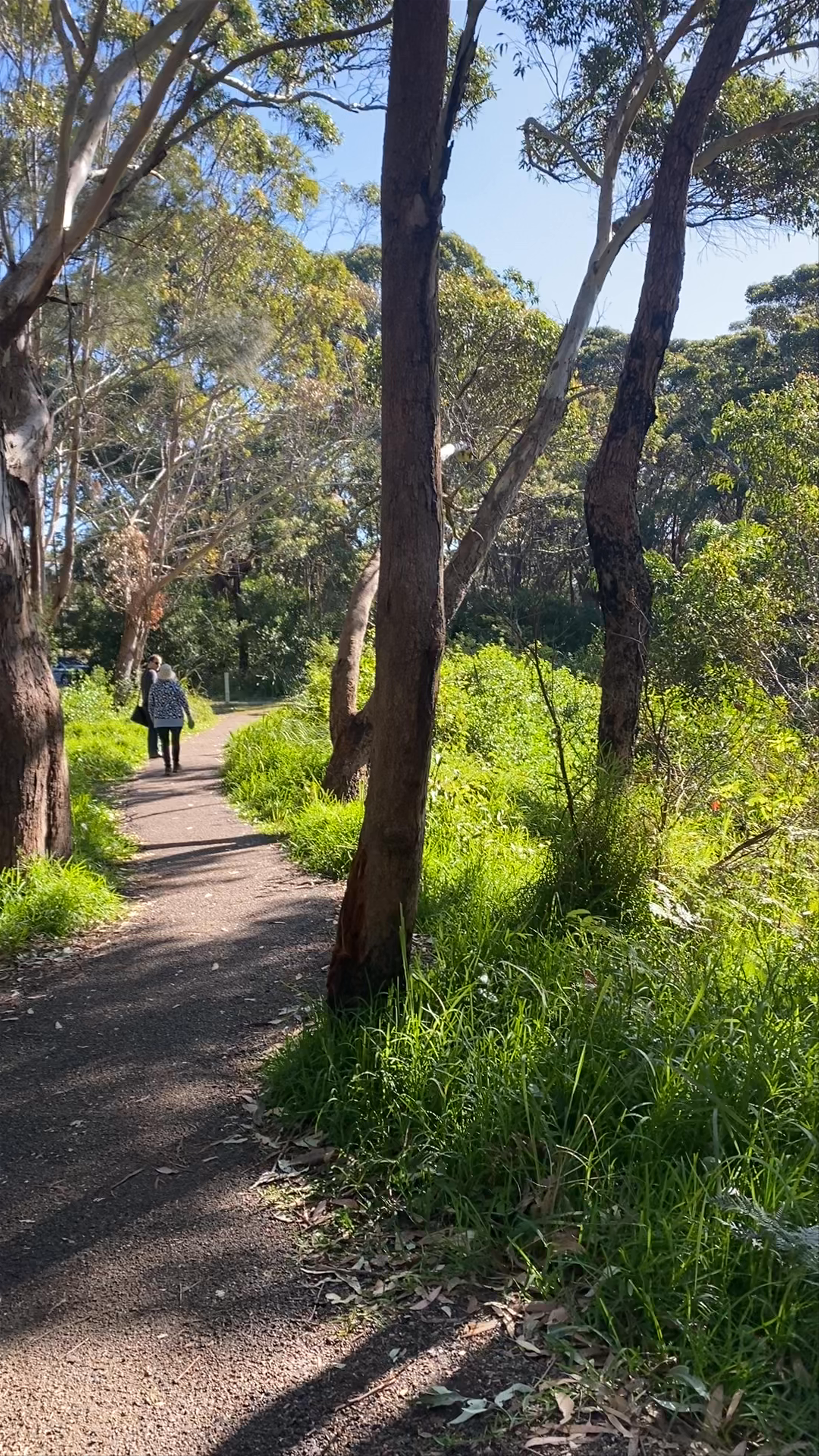 The Coast walking track