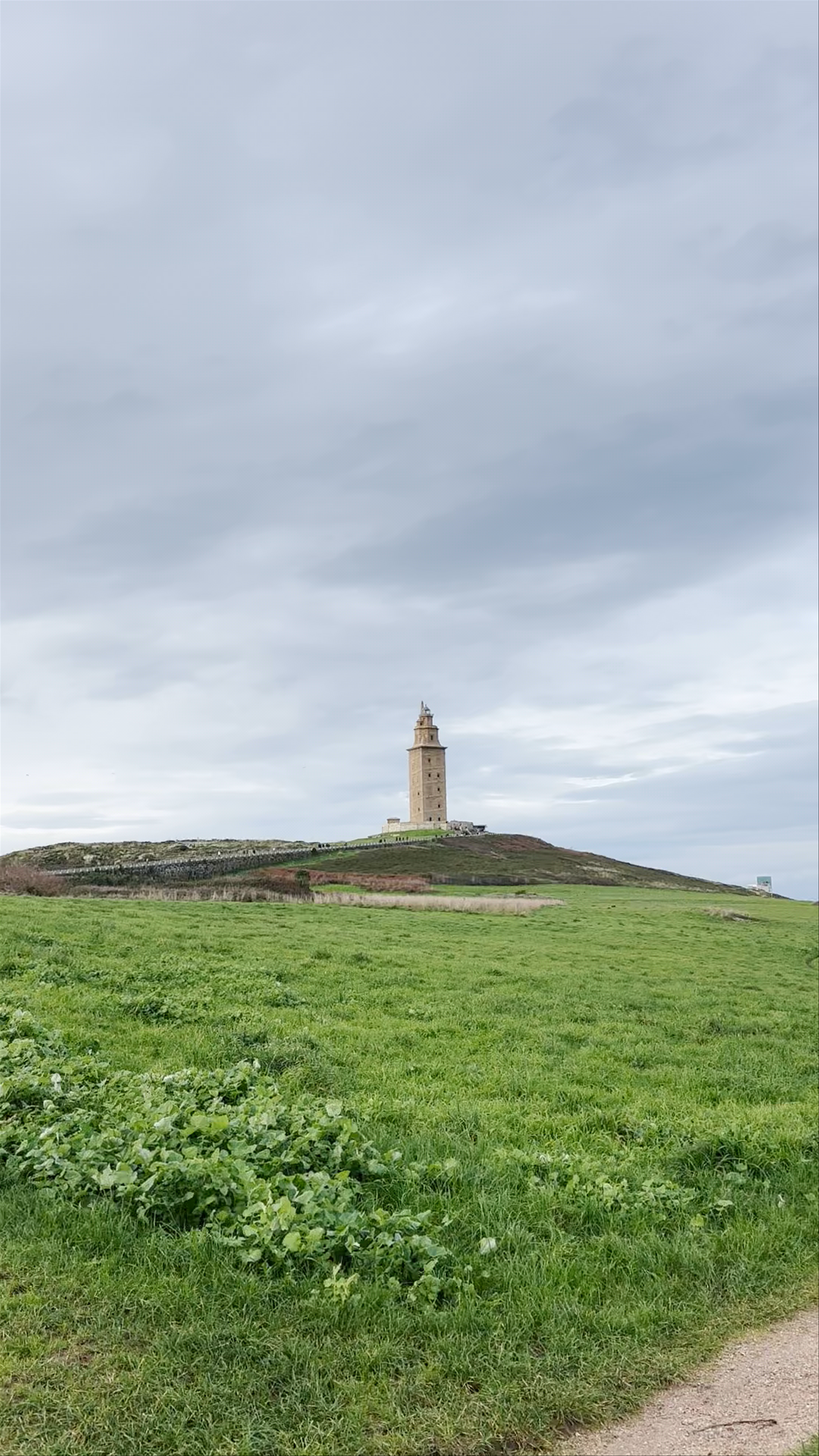 Petroglifos de punta Herminia