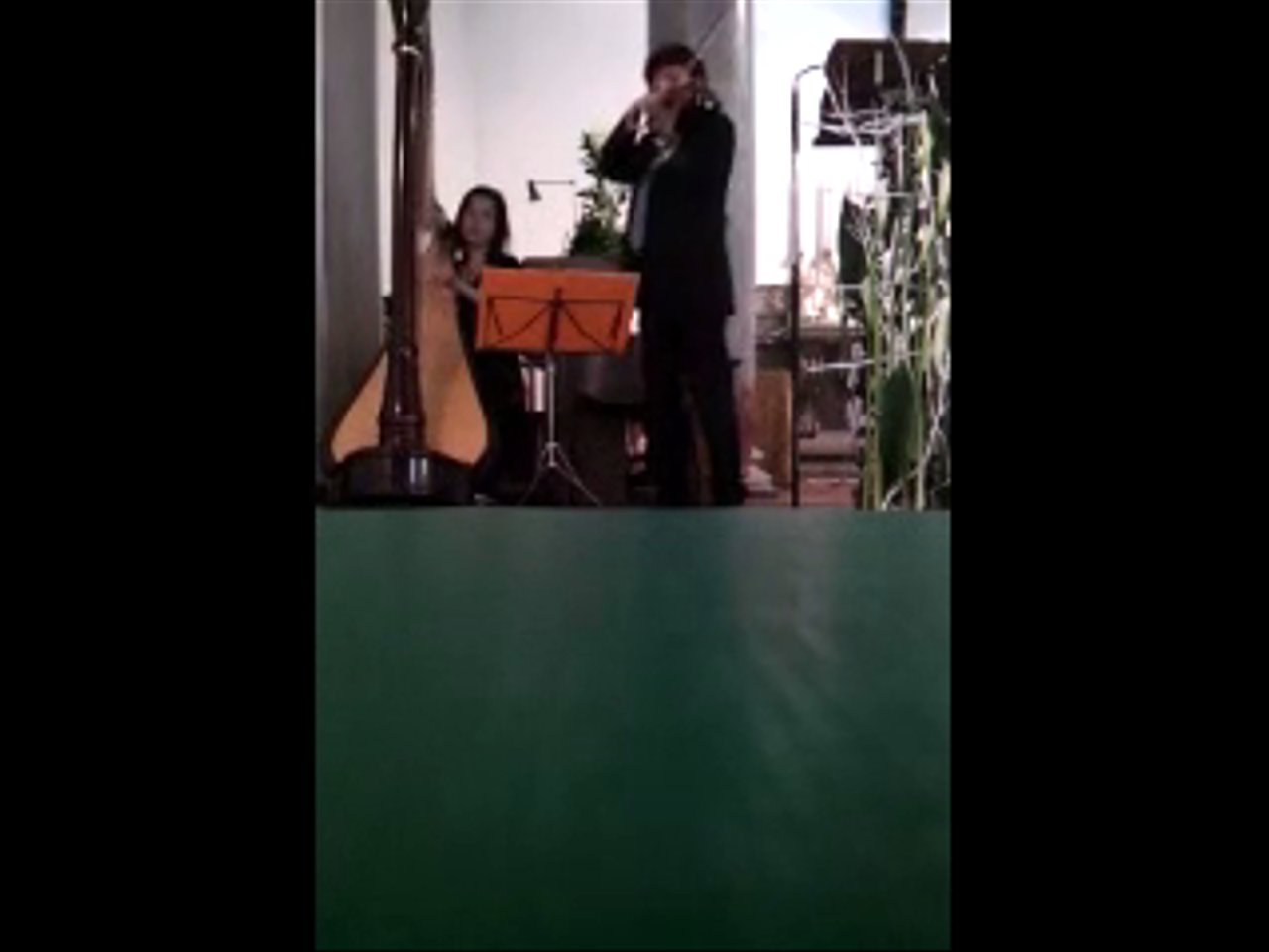 The Florence Harp Collective - Gabriel's Oboe (With Violin) - video 4