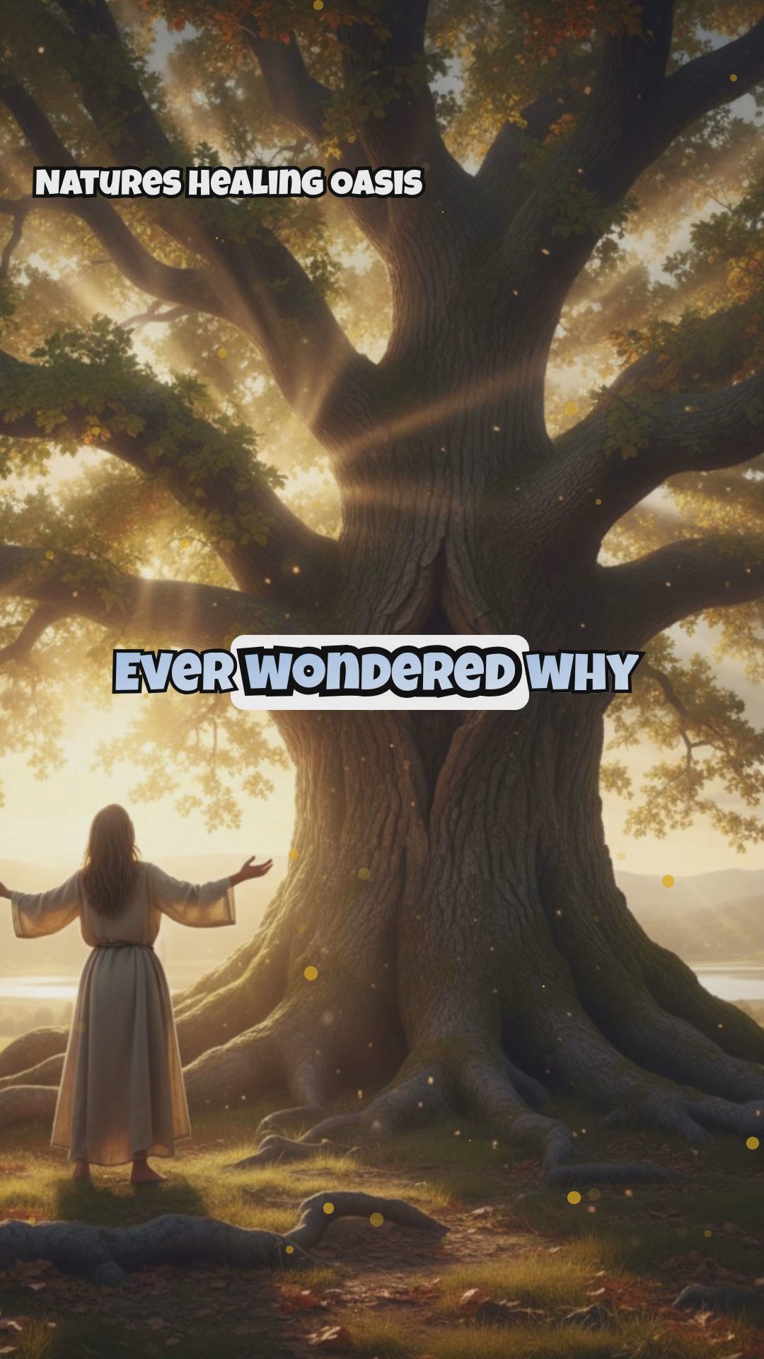 Tree Hugging Techniques: Proper Body Positioning for Maximum Energy Transfer