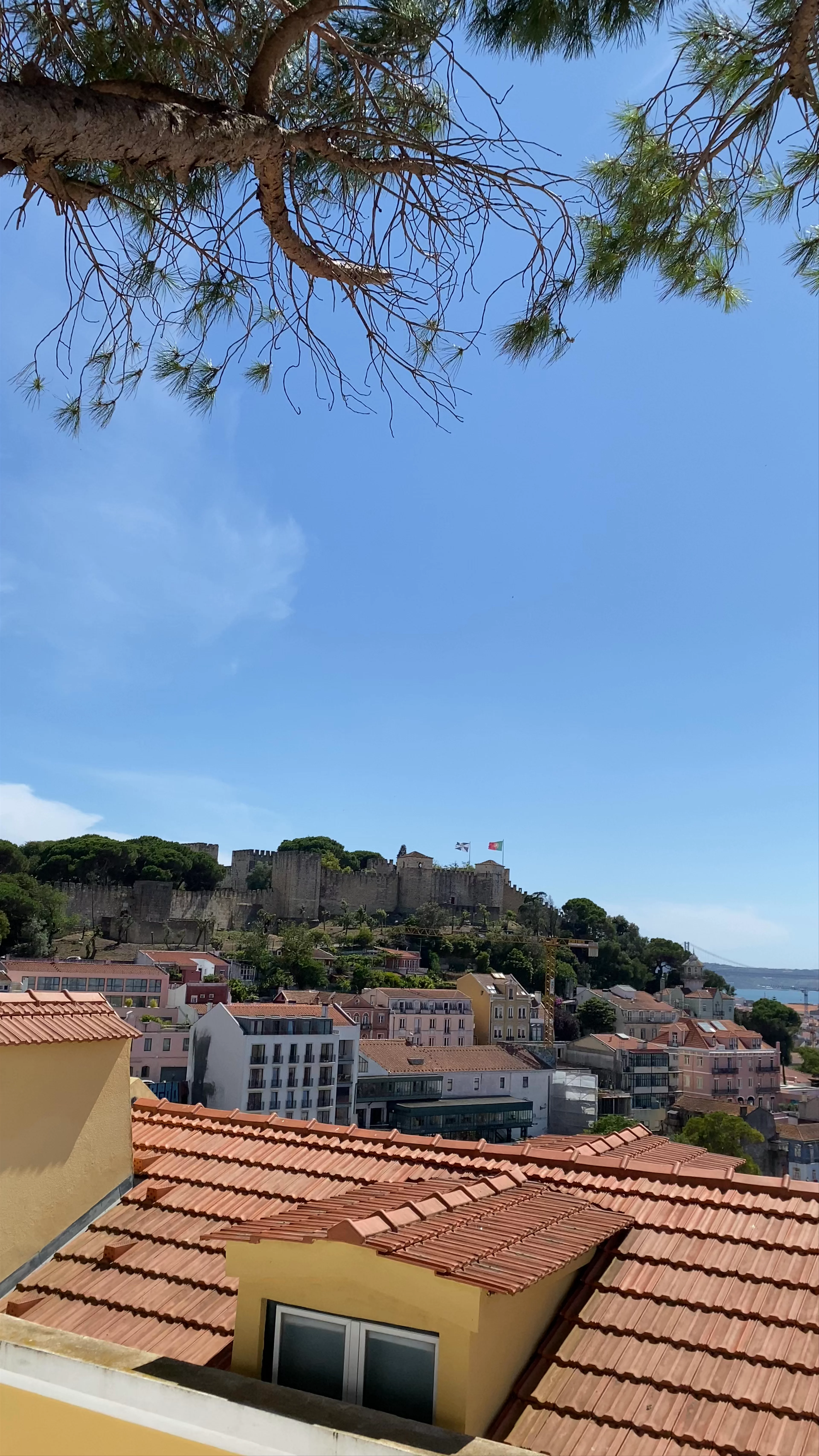 Miradouro da Graça