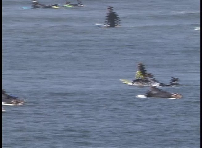 Numerous surfers walk along the beach carrying boards before entering the ocean to paddle out into the surf. The scene transitions from the shore to the active group of participants gathered in the waves.