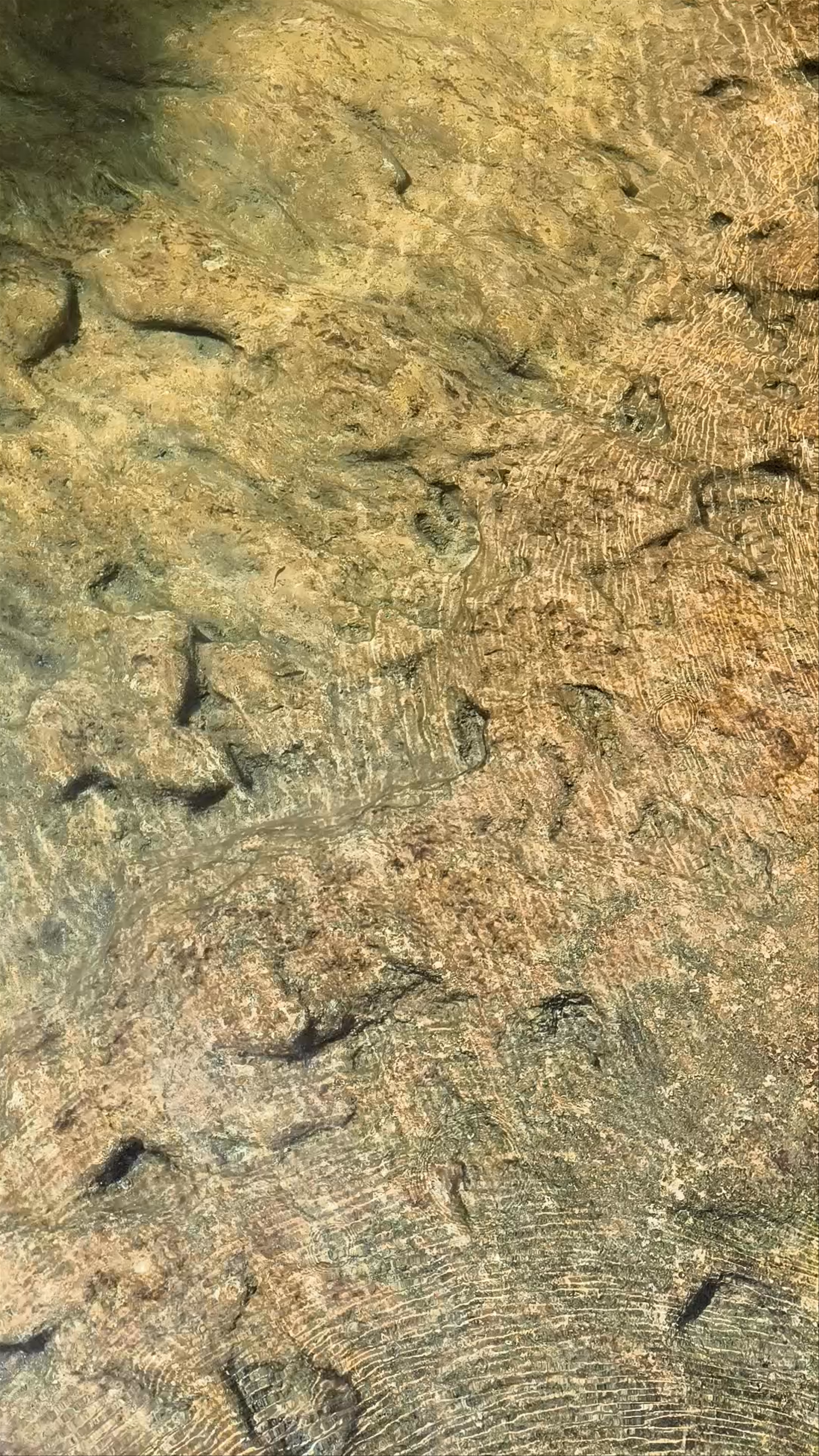 Pozas Naturales de Semuc Champey