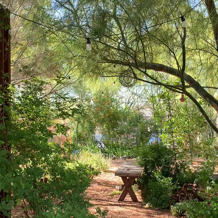 Singh Meadows - Farmers Market Near Me - Tempe, Arizona