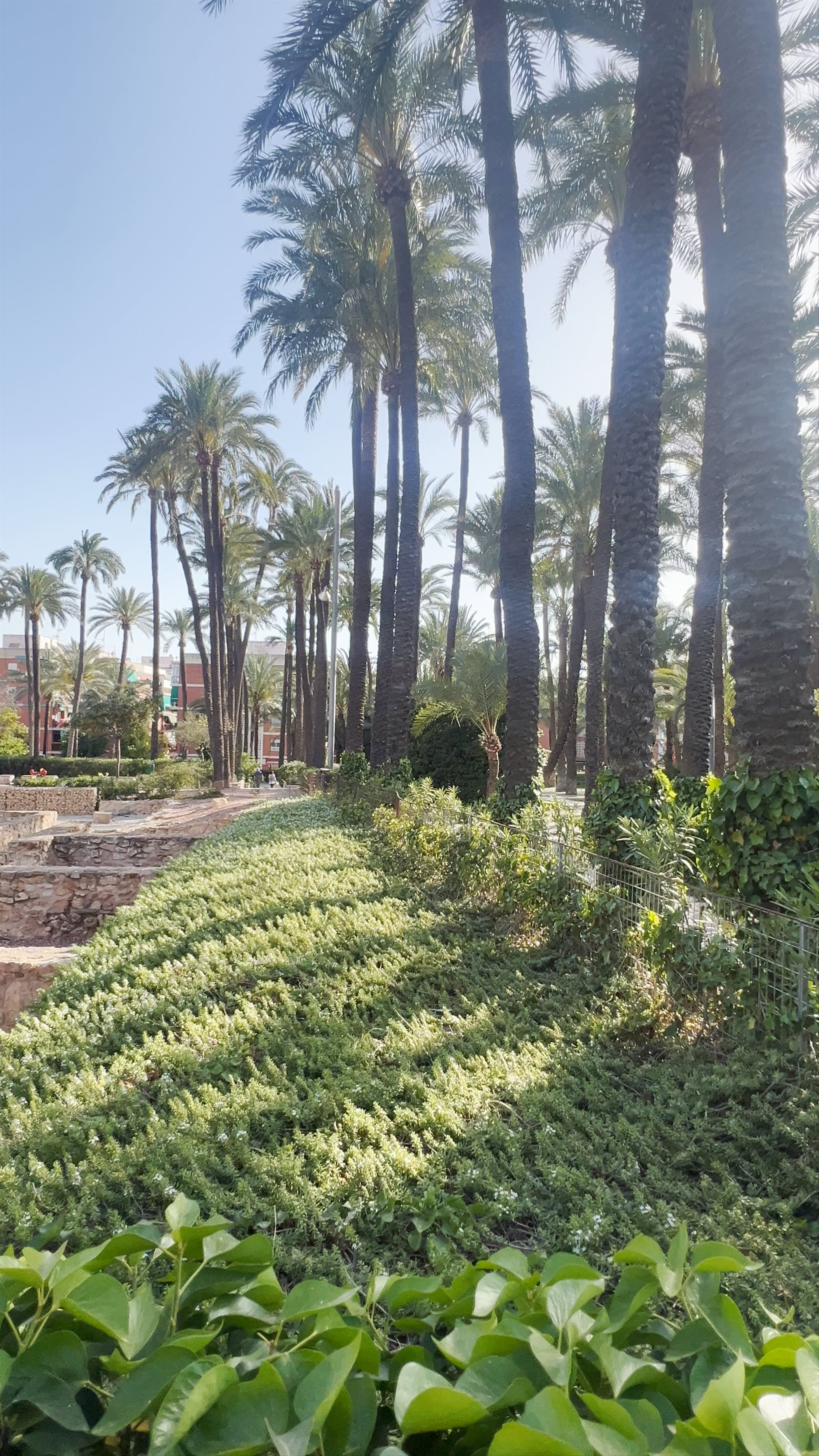 Discover the Ancient Roman Ruins at Casa Romana del Portus Ilicitanus in Santa Pola