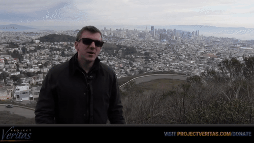 Video Thumbnail Loop