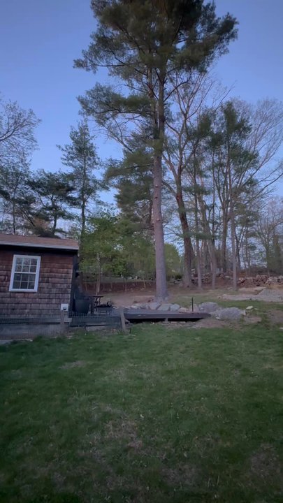 Azeredo Landscaping - Had 5 trees removed with stump grinding and without yard damage. Zack was professional, easy to work with and reasonably priced.Highly recc! - Landscaping Near Me - East Greenwich, Rhode Island