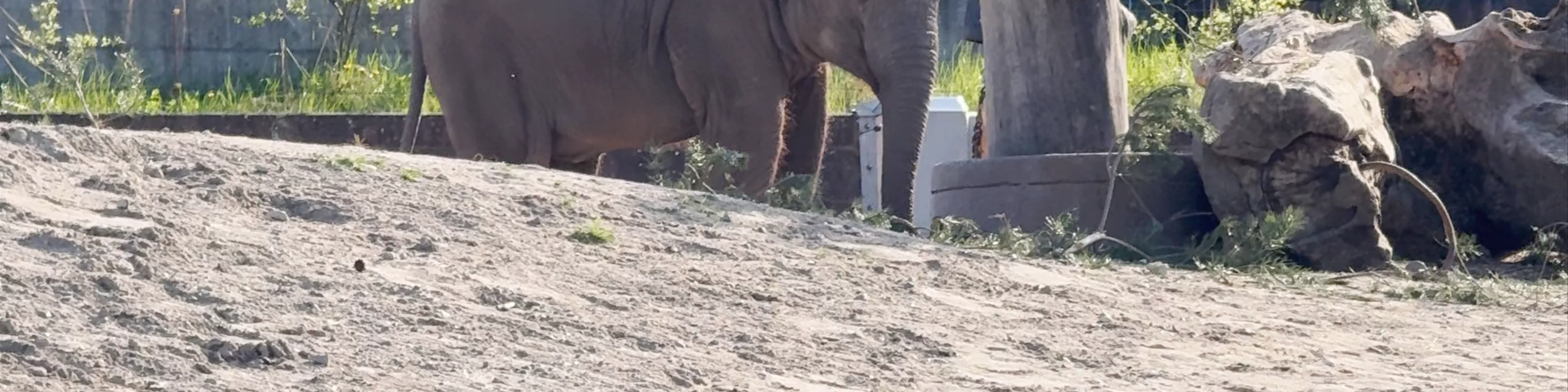 Copenhagen Zoo