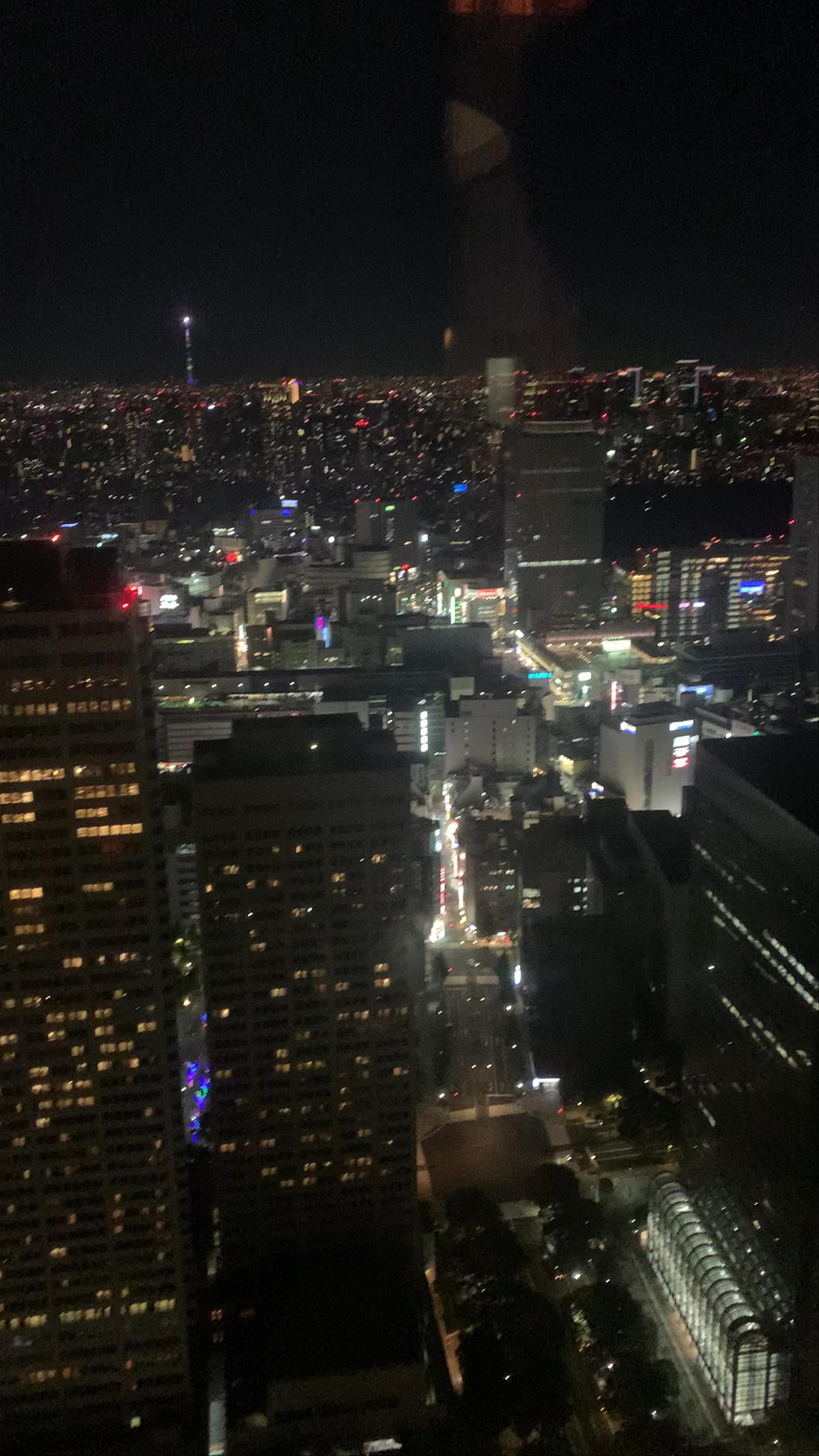 Tokyo Metropolitan Government Building