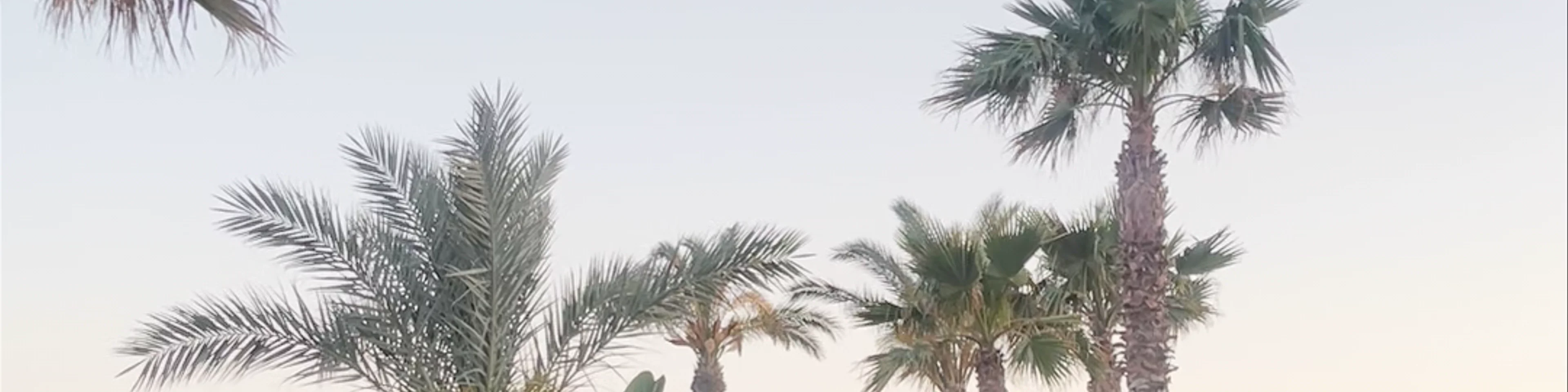 Riviera Coast