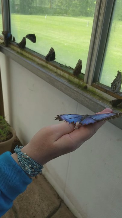 Perry's Cave - A butterfly landed on Dawn H!!!! - Amusement Parks Near Me - Put In Bay, Ohio