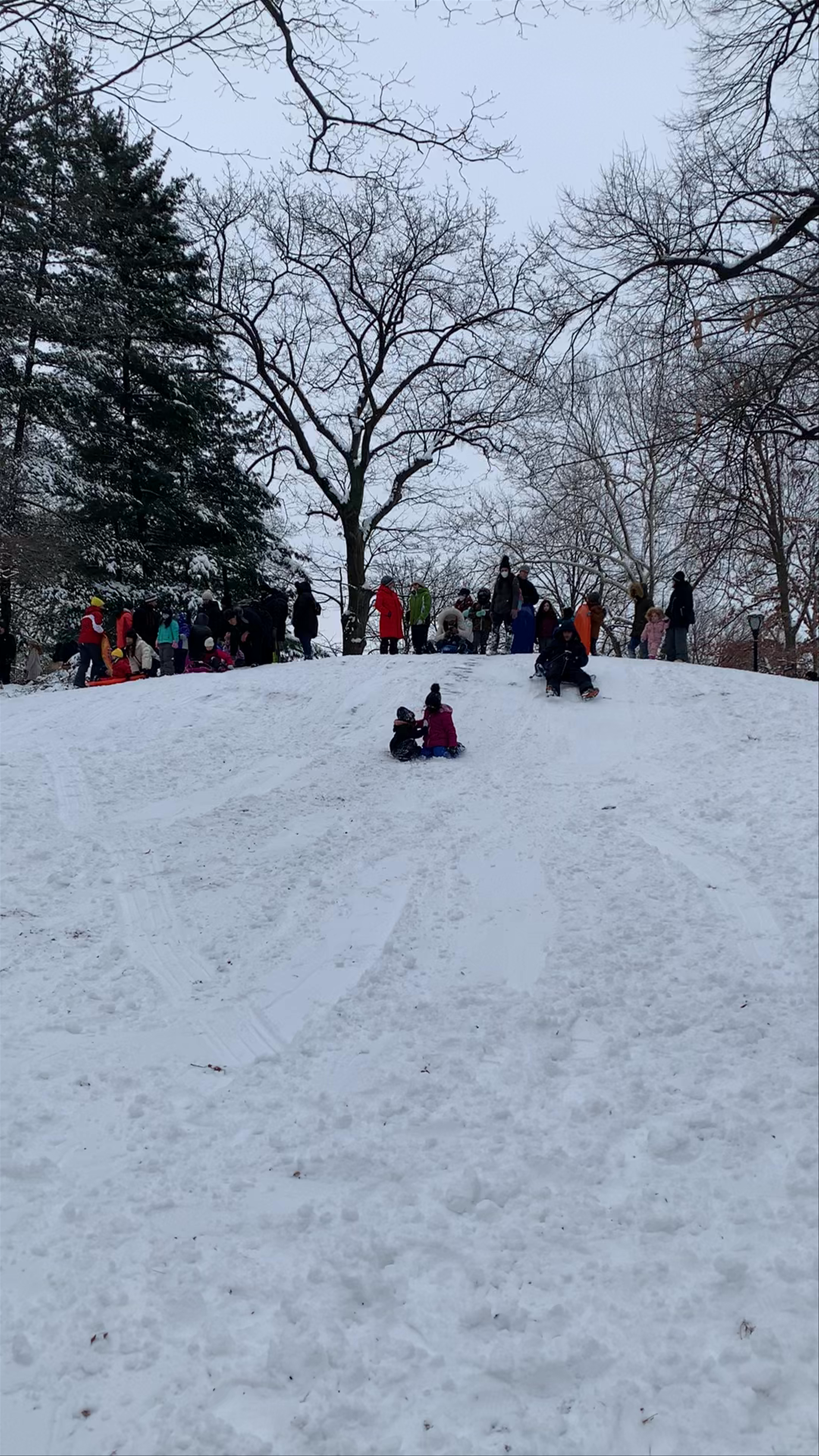 Central Park